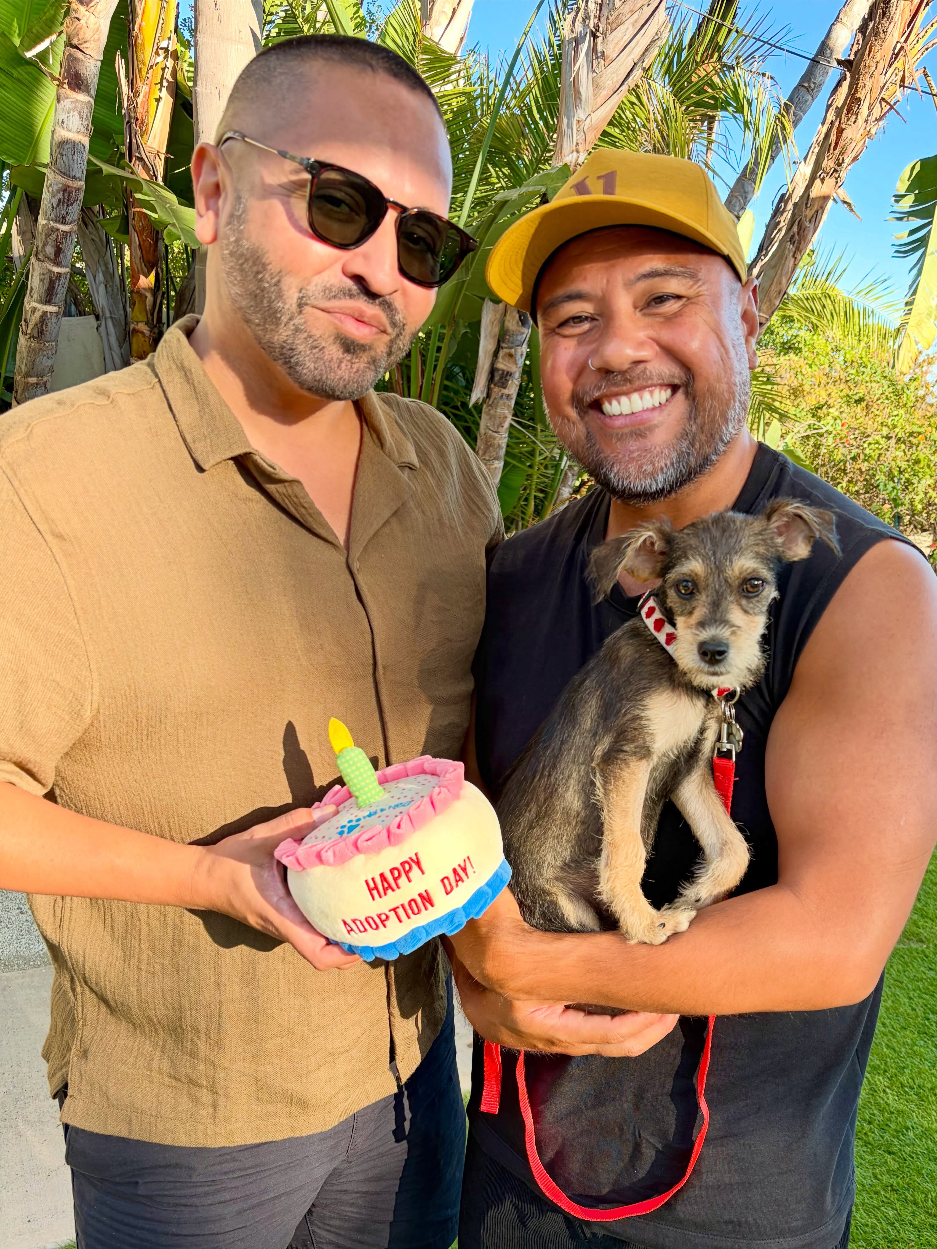 Our precious little Arlo won the jackpot, getting adopted by our wonderful friend @efrenabieras & hubby Nate. What a lucky little boy to be a part of such a loving home.
From homeless to Happily Ever After ~ the BEST! β₯οΈβ₯οΈβ₯οΈ
#adoptdontshop #miniatureschnauzerpuppy #rescuedisourfavoritebreed #almarescue