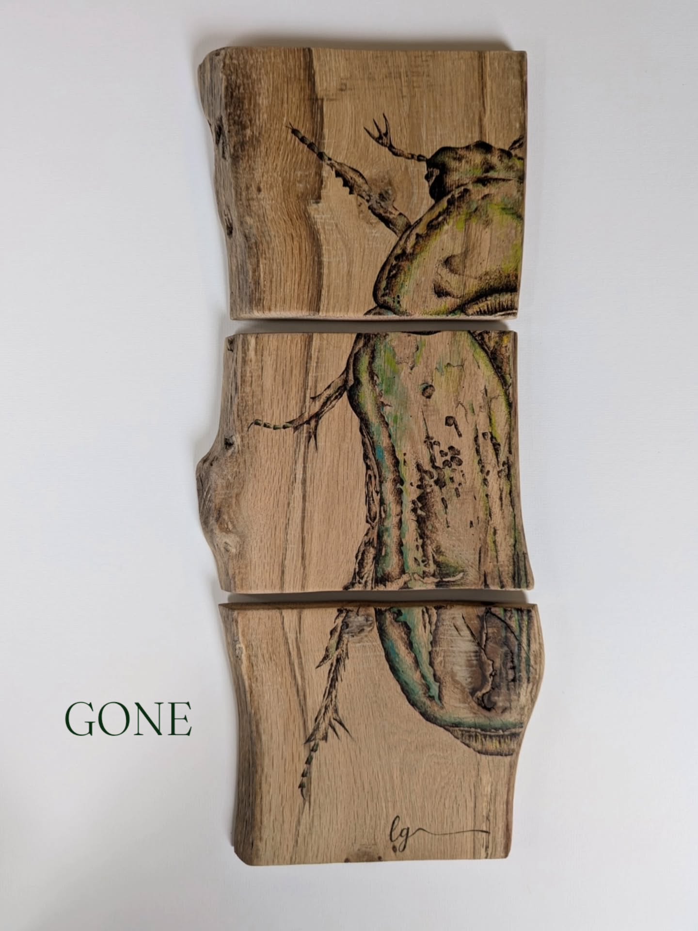 Gone
🌱 But not forgotten. This is my first triptych which was challenging and I thoroughly enjoyed creating it. Inspired by a tiny Rose Chaffer beetle that landed on my arm inr Summer allowing me the opportunity for some decent reference material.
🌱 A niche subject and perhaps a little too much but someone loved him as much as I do. Thank you so much to that customer and @moochartandmakers gallery at @dartingtonciderpress for making me super happy and proud.