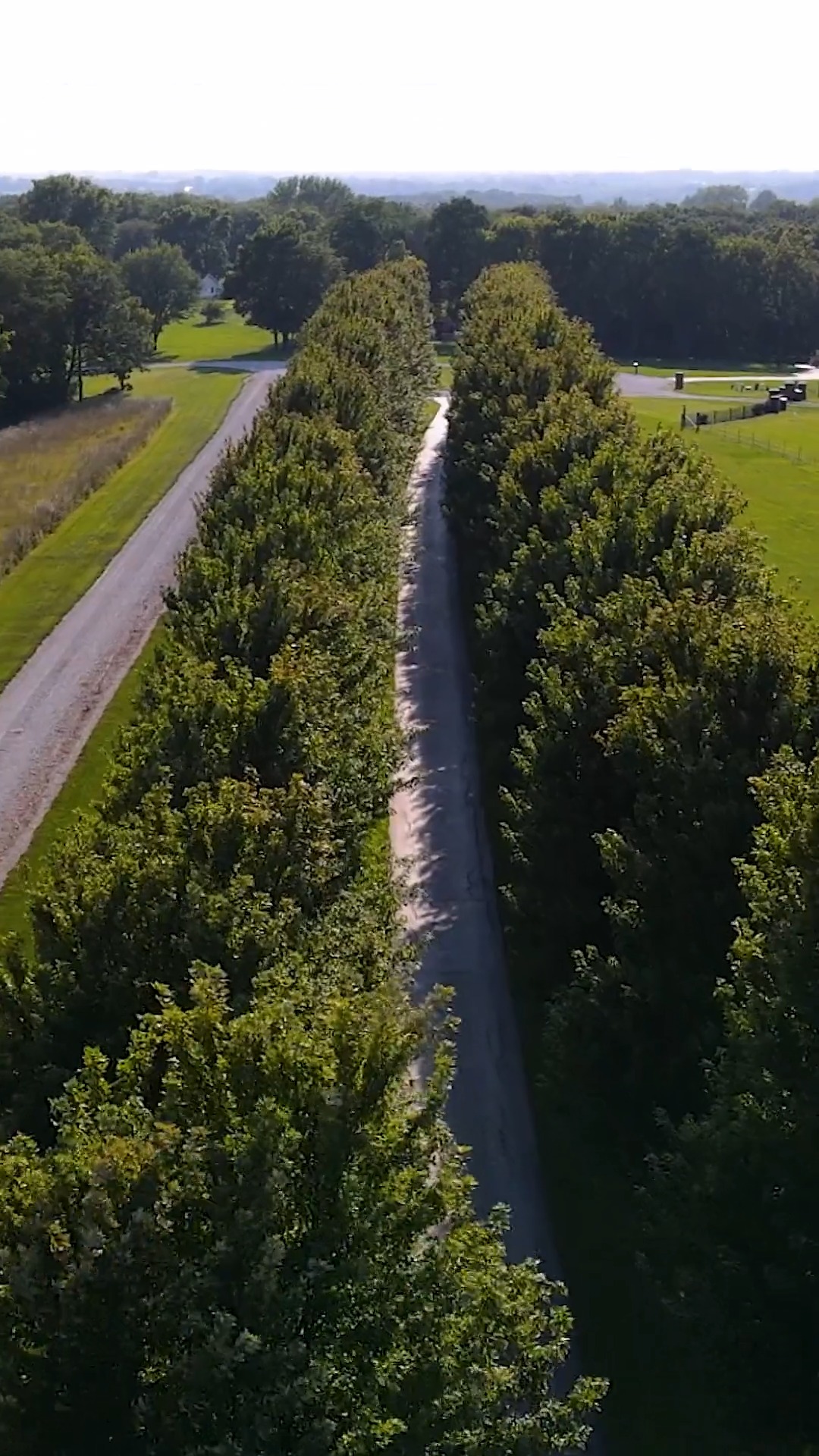 JUST LISTED! 🐎 Calling all horse lovers—this is the one.
20 beautiful acres in Smithville with the space, privacy and outbuilding to bring your equestrian dreams to life. A long, tree-lined drive leads to a timeless all-brick home surrounded by wide-open views, a stocked pond and plenty of room to roam.
And when you’re out of the saddle? Relax by the pool, enjoy dinner in the outdoor kitchen and unwind beneath the backyard pergola.
20 acres. Horses. Pool. Pond. Endless possibilities. 🌳🐴 Call Kristin Myers-Trysla 816.665.5277 or Stephanie Brown 816.560.9055 to see this amazing estate