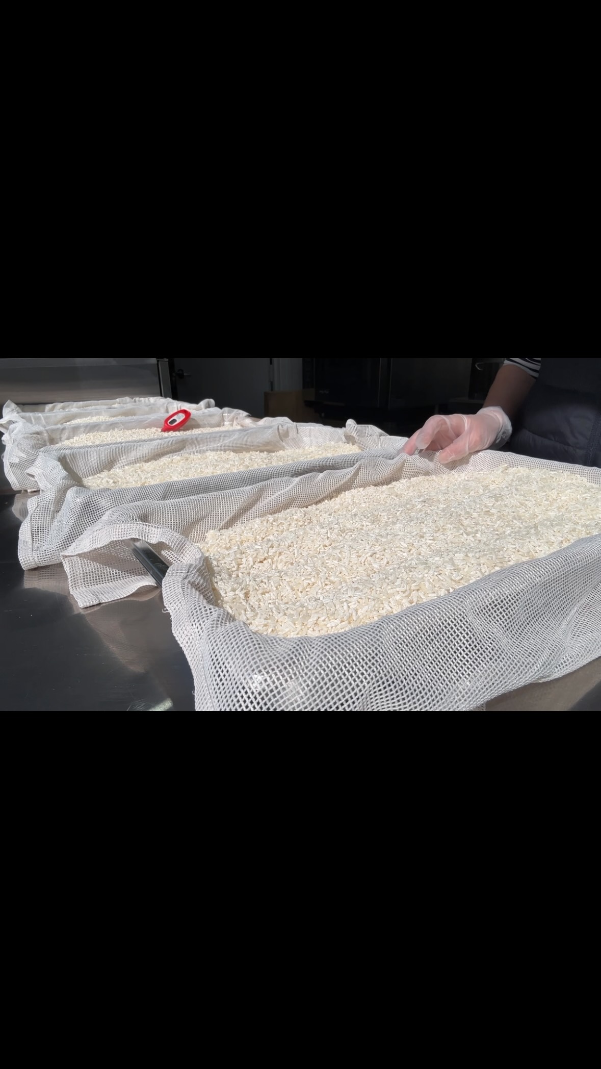 Producing a koji day2.
It often mixes to keep the temperature steady and create the right environment for growing koji.
#kaokaomiso