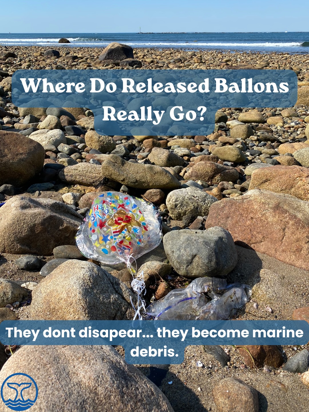 At ORCA, we regularly find balloons, ribbons, and strings during cleanups across Rhode Island. While they may seem harmless, these items can be mistaken for food by wildlife or become entanglement hazards.
The good news? This is one type of pollution that’s completely preventable.
Instead of releasing balloons, consider celebrating with reusable decorations, planting something meaningful, or joining a community cleanup.
Have you ever found a balloon on the beach or in nature? Tell us where in the comments.
#OceanRecoveryCommunityAlliance #ORCA #BeachCleanup #MarineDebris #RhodeIsland