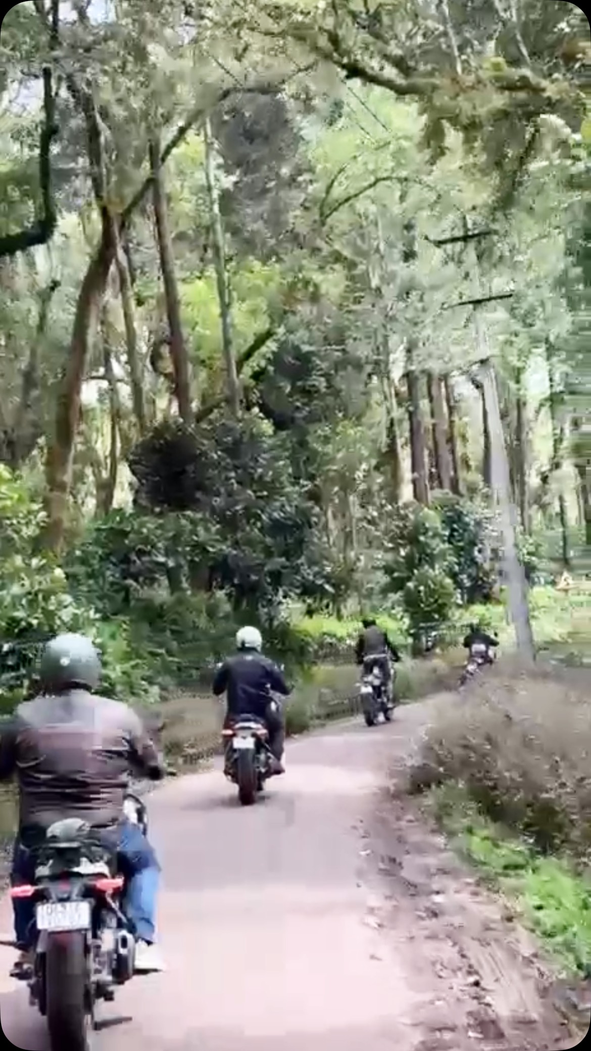 🏍️🌴 South India hits different when you ride through it!
From winding roads to lush green landscapes, from coastal vibes to unforgettable sunsets — every kilometre brings a new story. 🌿🌊🔥
Ride. Explore. Feel the South. 🇮🇳
Because the best views aren’t found on Google… they’re found on the road. ❤️🔥🏍️
#SouthIndiaRide #SouthIndiaTour #MotorcycleTour #RideToExplore #EnfieldToursIndia RoyalEnfield RideMore RoadsAndMemories BikersOfIndia AdventureAwaits