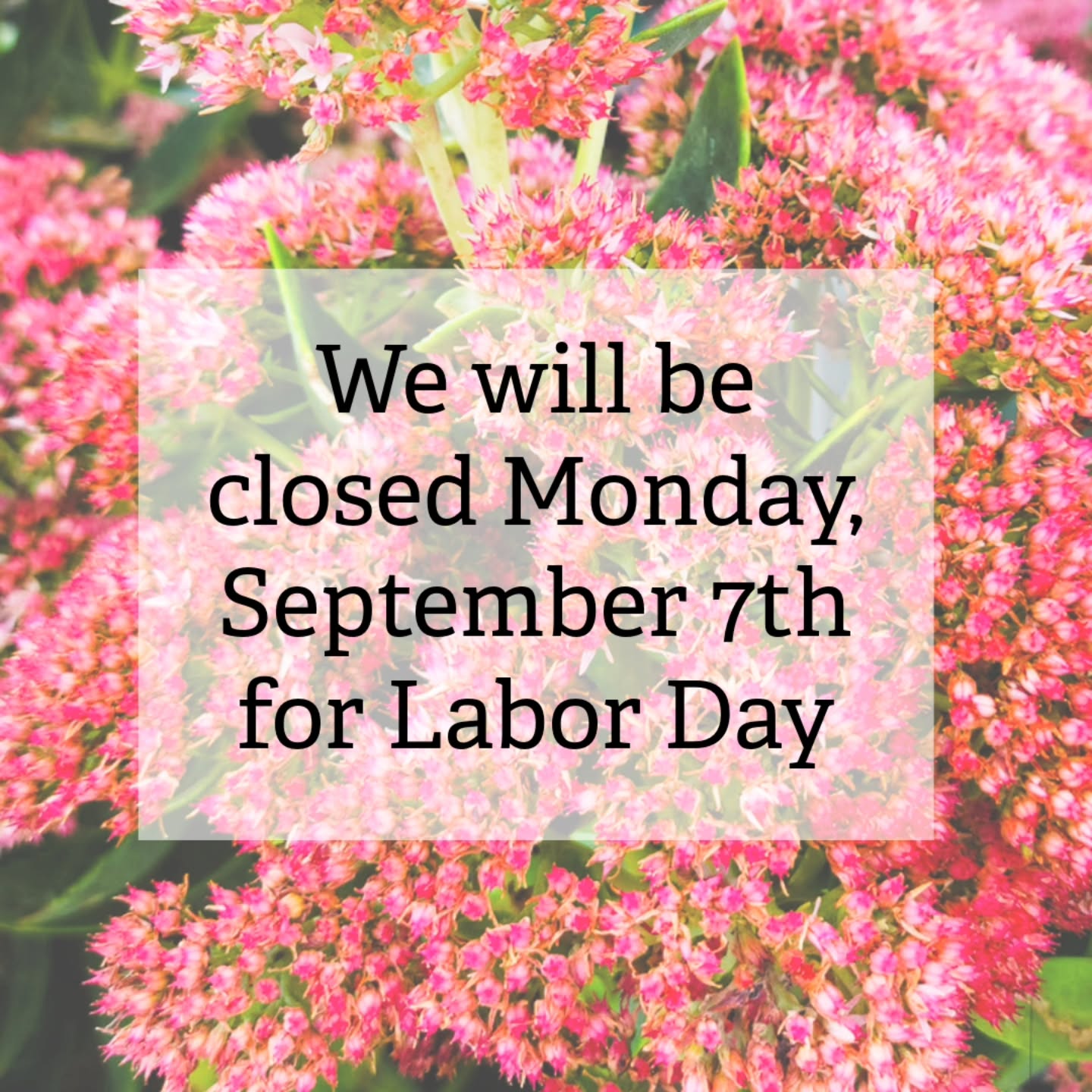 Happy Fri-yay, and for many of you, a long weekend! We will be open today & Saturday normal hours, then closed on Monday. We hope you have such a wonderful weekend! Brave the heat & come pick yourself up a new plant. 🌼🪴😊