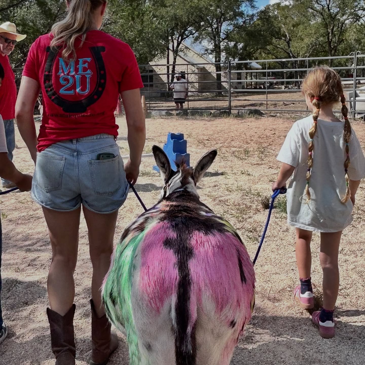 We spent a fun morning volunteering with Mini Equine 2 U in Wimberley, TX. They invited some awesome kids out to brush, paint and walk their minis. We look forward to helping at their next event!
#heritageoakrescue #rescuehorse #nonprofit #equinewelfare #texashorserescue #horserescueorganizations #equinesanctuary #donatetohorserescue #equinecharity #horserescuefundraising #banderatx #minihorse #minidonkey #volunteer #wimberleytx