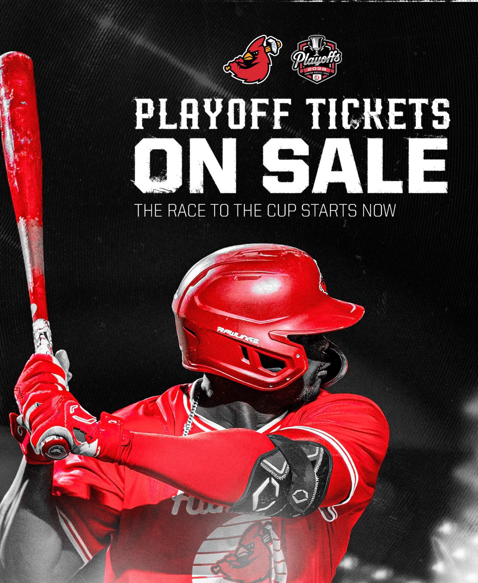 🏆 PENNANT WINNERS. PLAYOFF BOUND.
Our partners @hamiltoncardinals just won the @cbl1919 pennant and are heading into a do-or-die playoff series against the @barriebaycats tonight — right here at home! ⚾️🔥
Looking for the perfect Friday night activity? Come experience an unbelievable atmosphere, top-class athletes, and, of course, a great can of @lagershed 🍺
And if you can’t make it tonight, the team returns home for Game 3 this Sunday at 4 PM!
🎟️ Bring your friends. Bring the energy. Let’s get behind the Cards! ❤️⚾️tickets available through the link in our story!