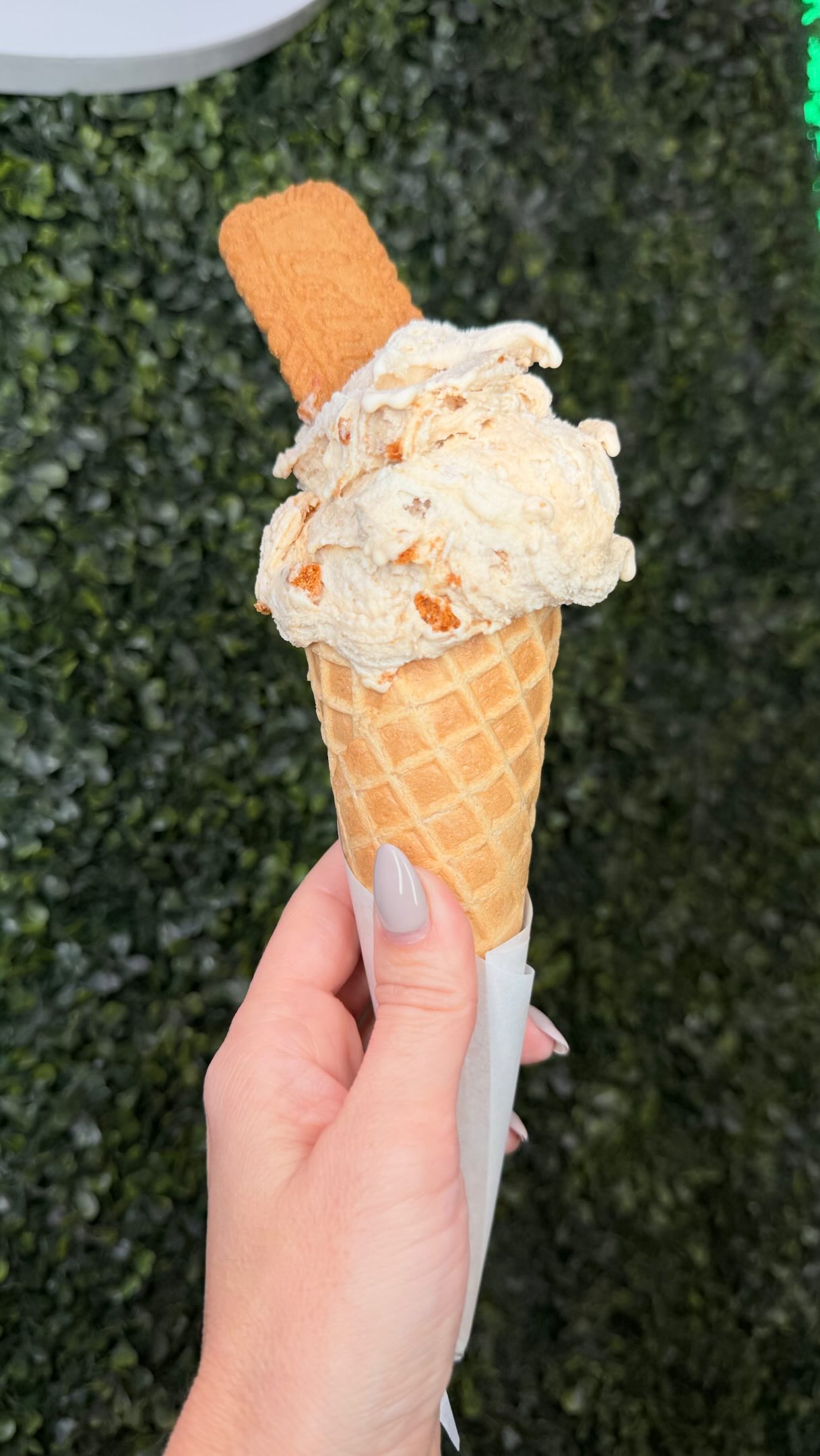 Today calls for something cold, creamy, and absolutely delicious… 🍨✨
Your favorite gelato is waiting for you at Alma Mía 💕
#almamiagelateria #almamiamoments #miamigelato #gelatolovers #nutellalovers