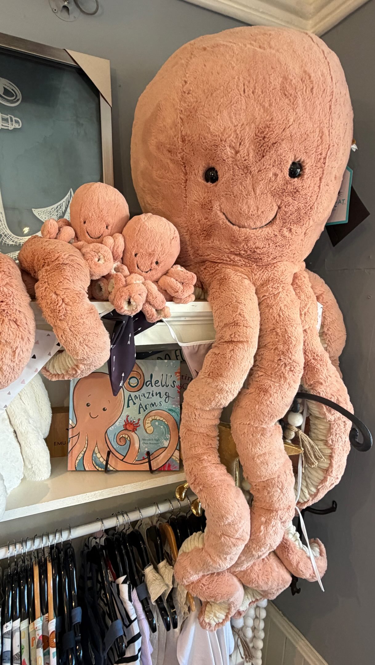 The store is filled with so many Jellycats. Pop in today to have a squeeze. Open 10-5.