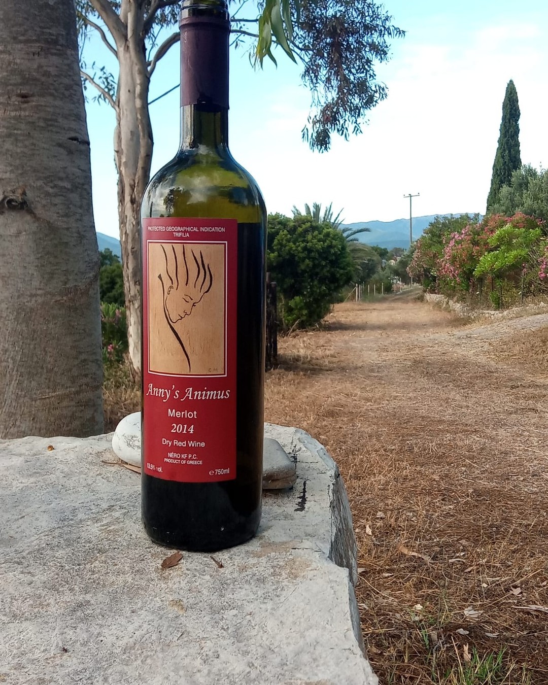A boutique Greek Merlot named for its soul
Tsolis Anny’s Animus Merlot 2014 – PGI Trifilia, Peloponnese | 91/100 🍷
Anny’s Animus is the boutique Merlot of Tsolis in Gargalianoi, Messinia, a small, ambitious house that put the region on the map for international reds. Konstantinos Tsolis began in 1993 with Cabernet planted back in the ’80s, and Phillipos Koukis has made the wine since 1999. The name is no accident: the poetic back label tells the wine like a person, born in Trifilia, raised in oak, settled in the bottle, and grants it above all a soul, hence Animus; even the label art is by a painter, Eleni Michalakopoulou.
It is a single-variety Merlot from PGI Trifilia, 13.5%, by the back label 18 months in oak then 24 in bottle, deliberately aged long and released mature. It sells for around €26.
2014 was cool, wet and difficult in Messinia, with spring rain, early-summer hail and fungal pressure, so picking ran about two weeks late and the wines tended lighter and more aromatic; that this Merlot matches the 2013’s 13.5% suggests it still ripened well, not picked too early. I tasted it beside the same-aged Tomos II Merlot from Panagiotopoulos (@panagiotopoulos_wines), and the edge showed on the nose at once. It is not quite as fresh as the Tomos II, but the nose is more intense, with genuinely inviting plum. On the palate an acidity keeps lifting it, not all the way through but always resurfacing, and there is still fruit on the finish. A really well-made, well-aged Merlot at its peak.
Precisely because it is this good, I’d drink it over the next five years; there is something to lose here. For me, 91 points.
A much more detailed review lives in our site’s tasting-note database of 500+ Greek wines.
Save this if a bottle's waiting in your rack – it's drinking at its peak now.
#GreekWine #Merlot #WinesOfGreece #BoutiqueWine #GreekRedWine