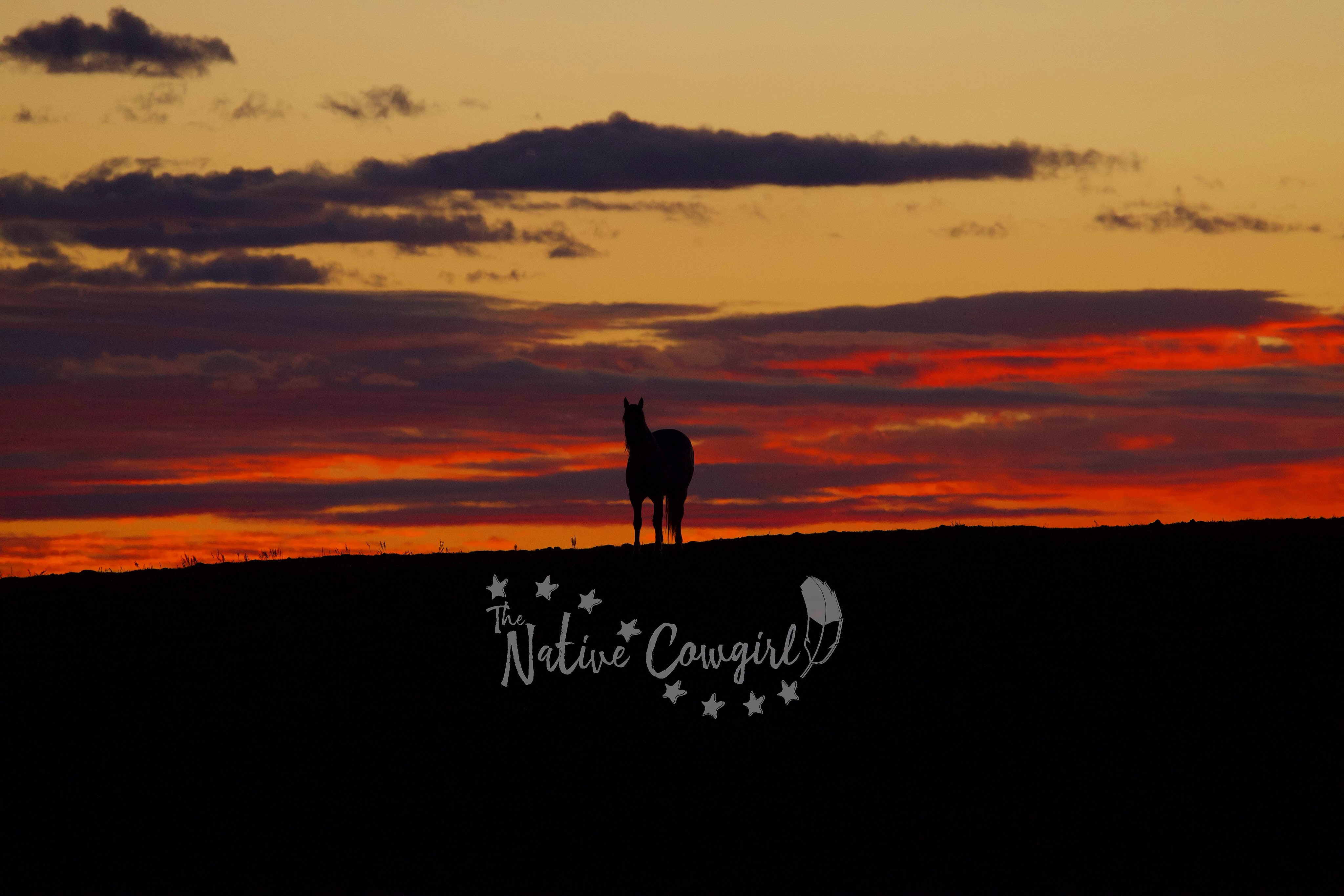 Somewhere along the way, I think a lot of us forget to ask ourselves a really simple question…
What makes me happy?
Not what needs to be done.
Not what everyone else needs from me.
Not what I should be doing.
What actually makes me feel happy, peaceful and alive?
For me, it’s horses. Taking photos. Being outside. Creating things. Spending time on the land. Doing work that feels meaningful.
And lately, I’ve been reminding myself that those things deserve a place in my life too.
Maybe we don’t always need a complete reinvention.
Maybe we just need to remember what lights us up…and do a little more of that.🫶🏼
What’s something that makes you genuinely happy?
🪶Cheyenne, The Native Cowgirl
