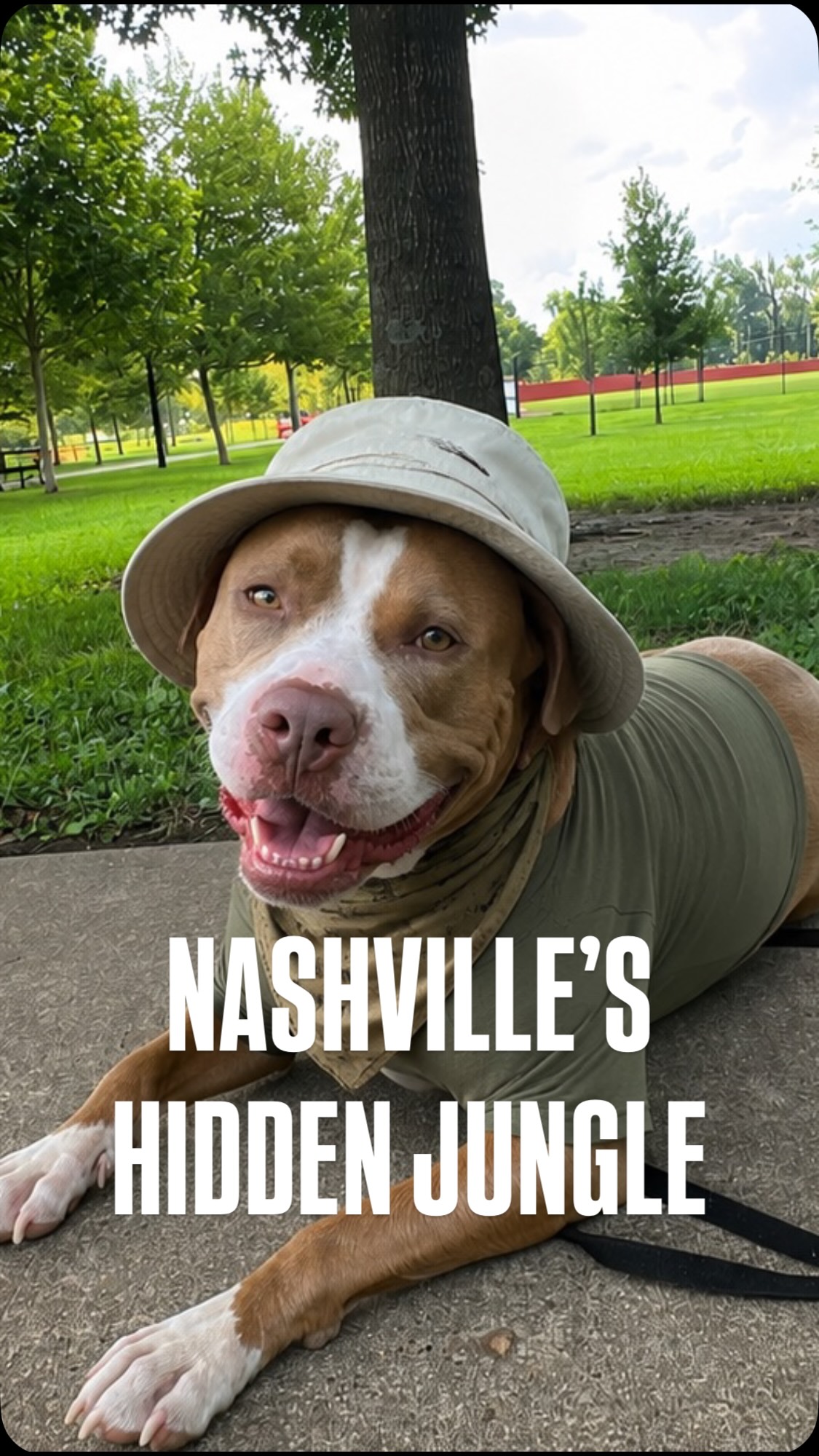 Huge shout out to Kate and JB who have just completed 5 private lessons and who had the courage to revisit the exact spot where he dragged her to chase cats, deer, people, etc.
It’s my job to show people success not only where they’re comfortable but where they have struggled.
Congratulations Kate & JB!
#dogtraining #dogsofinstagram #nashvilletn #caninebehavior