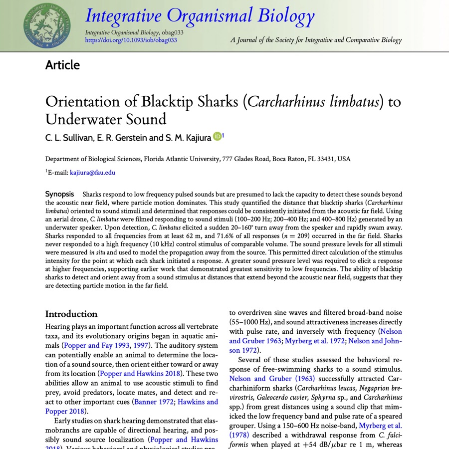 Congratulations to @fauscience #alumna @sweet__caroline13 on the publication of her masters #thesis #research on #shark #hearing. She used an aerial drone to film the reaction of blacktip sharks in the wild to quantify the distance at which the sharks responded to sounds at various frequencies. The sharks responded to the low frequencies the best and consistently turned away from the source suggesting that they were able to localize from where the sound originated. There have been surprisingly few studies of shark hearing in the last couple of decades so it is exciting to see more developments in this area. @iobjournal @floridaatlantic