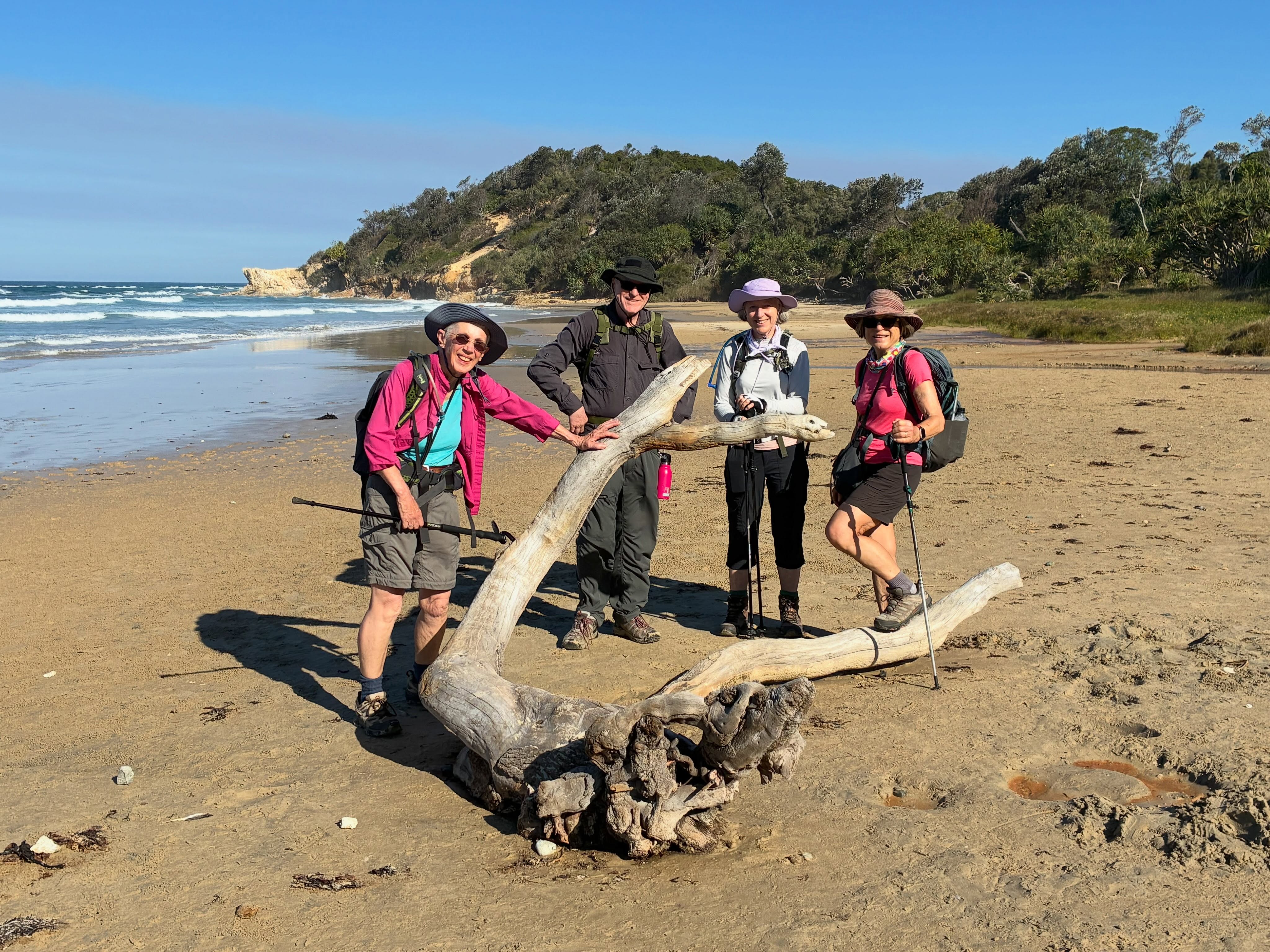 Hiking the Yuraygir Coastal Walk. Beautiful wildflowers and weather but unseasonably warm. This 5 day fully supported tour starts at Yamba and finishes at Red Rock. Total hiking is 64km along pristine NSW coastline.