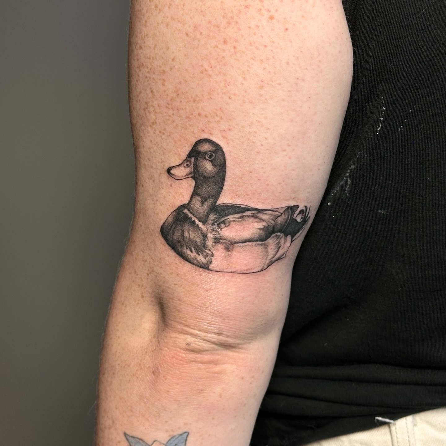 A little Mallard duck created by @daddyfatstackk Annie is always amazing at depicting birds and this little duck is no exception!
#ducktattoo #realistictattoo #estesparktattoo #estesparktattooartist #coloradotattooshop