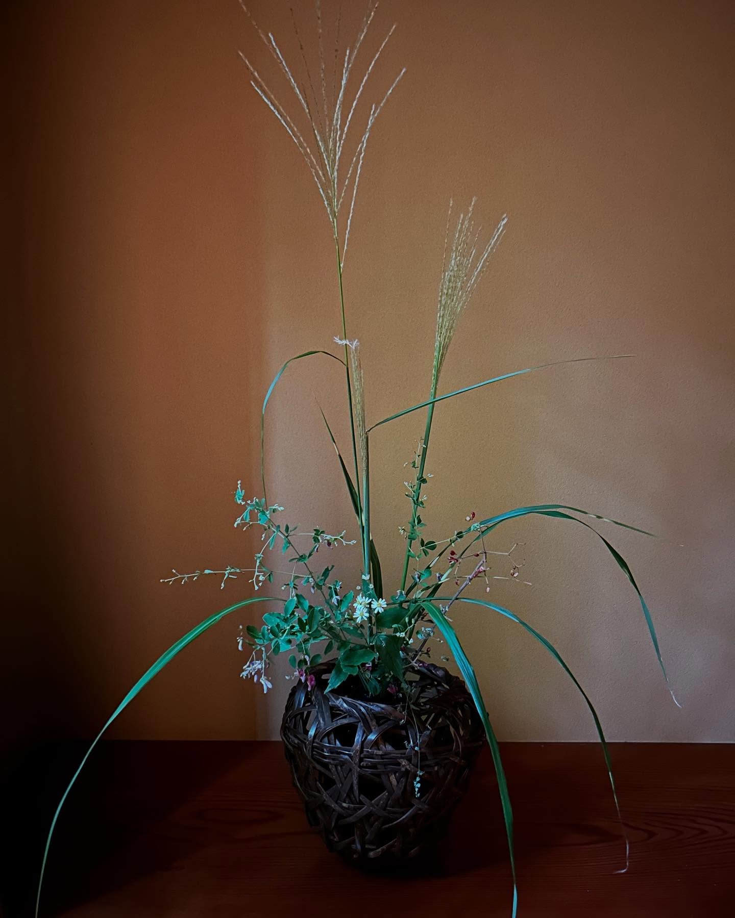 柳原料理教室
今週の迎え花
シロヨメナ
萩
矢筈芒
ガマズミ
Yanagihara cooking School
This week's welcome flowers at school
Autumn wildflowers