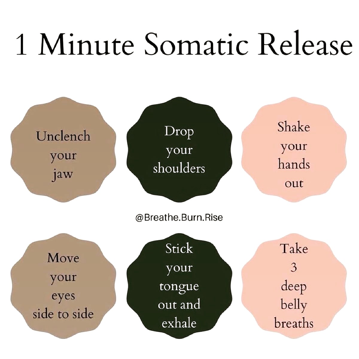 Pause for one minute and check in with your body.
Unclench your jaw.
Drop your shoulders.
Shake out your hands.
Move your eyes from side to side.
Exhale fully.
Take three deep belly breaths.
Stress can settle into the body in ways we may not immediately recognize. A brief somatic reset can help us slow down, notice what we are holding, and reconnect with the present moment.
What tension can you give yourself permission to release today?
Hope. Healing. Human Connection.
Image credit: @Breathe.Burn.Rise
#SomaticHealing #StressRelief #MindBodyConnection #MentalWellness #TherapeuticCounseling #RichmondTherapist #TCC #Virginiamentalhealth
#rva