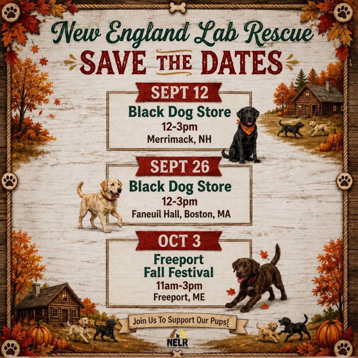 🗓️ Bark your calendars New England! Our next three meet and greet events are just around the corner and we hope to see you there! 🐾
*more details on each event, along with the specific adoptable dogs attending will be posted closer to each event. Stay tuned!