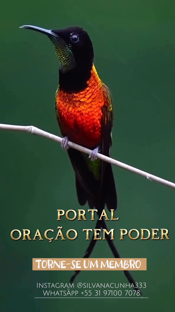 A maioria das pessoas está orando de maneira não eficiente.
Prontos para aprender a fazer do jeito certo?
Ouça estas palavras de Michael Beckwith e compreenda a importância de praticar uma nova forma de orar, com clareza, coerência e potência.
No Portal ORACAO TEM PODER, todas as terças, quintas e sábados, das 6h às 6h45, nos reunimos para orar com a consciência de quem somos, com a postura de manifestantes da vida e conectados ao nosso verdadeiro Poder.
“Orar não é pedir. É reconhecer, sintonizar, colocar em coerência mente e coração, vibrar em uma frequência elevada e manifestar.”
Você tem dúvidas?
Fale comigo aqui nos comentários!
O Portal está aberto!
Venha Ser conosco!
Mais informações no link da bio.
Consciência
Existência
Felicidade
Eu Sou aqui
Eu Sou aí
Silvana Cunha
Autora • Palestrante • Terapeuta Holística Integrativa• Consteladora • Mentora • Cientista Intuitiva • Alquimista • Fundadora da TQC Cura Quântica®️ e do Despertar Quântico da Consciência
Instagram: @silvanacunha.333
www.florescimentocriativo.com