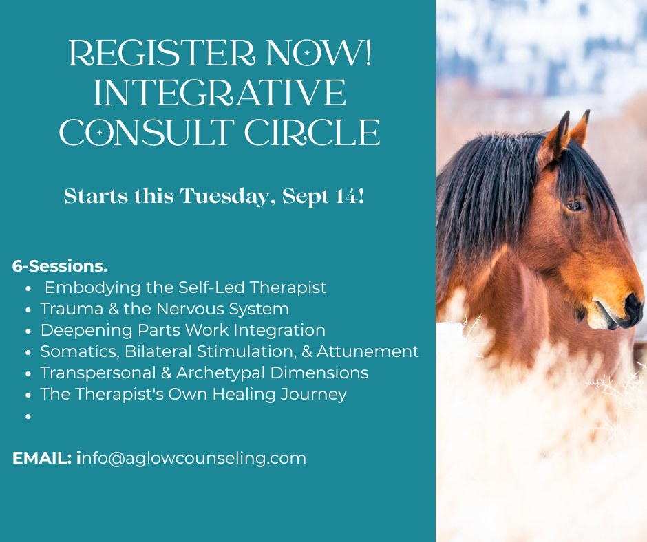 Join us. Starts this Tues, Sept 14.
A support community for Self-led therapists who wish to integrate the wisdom of an integrative approach using IFS, EMDR, Somatic, and/or transpersonal methods while staying anchored in your own healing, embodiment, and intuition.
Join us if you use one, or more, of these models in your approach and want to deepen your approach to trauma care.
Participants commit to 6 rounds and engage in a rhythm that blends case consultation, experiential practice, and shared community. All welcome!
6-Sessions. Soft Themes & Shared Resources:
Round 1: Embodying the Self-Led Therapist
Round 2: Trauma & the Nervous System
Round 3: Deepening Parts Work Integration
Round 4: Somatics, Bilateral Stimulation, & Attunement
Round 5: Transpersonal & Archetypal Dimensions in Therapy
Round 6: The Therapist's Own Healing Journey
Cost: $444 Time: �10 am to 11:30 am MT (adjust timezone)
Dates:�� Sept 15, Oct 20, Nov 17, Jan 19, Feb 16, Mar 16 (skip Dec)
Interested? info@stacyrusecounseling.com
#IntegrativeCircle #SomaticTherapy #IFS #EMDR #Transpersonal #Therapists #ClinicalConsultation #Community