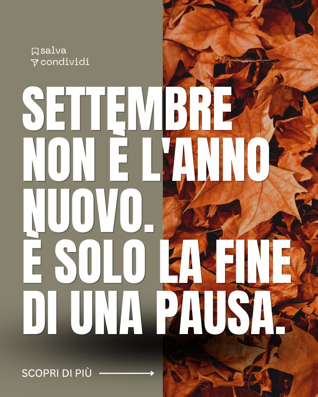 Settembre non è l’anno nuovo. È solo la fine di una pausa. Il rientro non richiede una dieta drastica, richiede ordine su proteine, sonno, crononutrizione.
Proteine adeguate a ogni pasto, sonno come priorità reale, pasti principali anticipati nella prima parte della giornata. Poche regole ferme, non settimane di restrizione.
Salva questo carosello e torna a guardarlo il primo giorno di rientro.
#rientro #settembre #proteine #sonno #crononutrizione