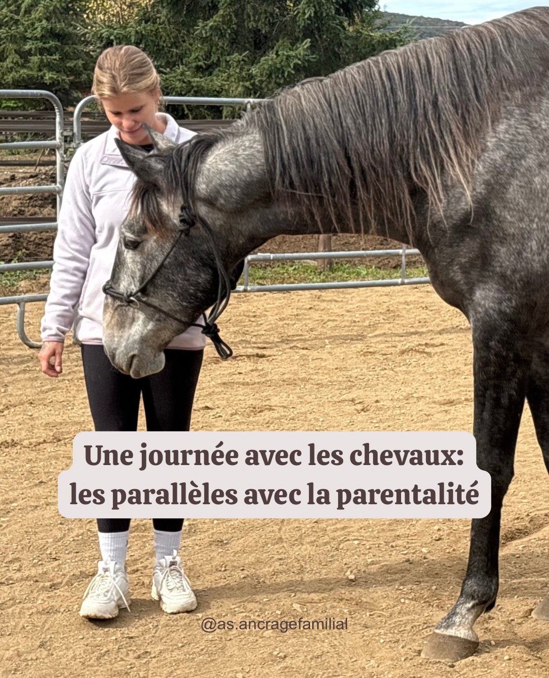 Ce weekend, j’ai eu la chance de passer une journée à l’écurie de mon amie.
Nous avons apprivoisé et travaillé avec plusieurs chevaux. Nous avions chacune notre bagage et nos objectifs à travailler à travers notre relation avec eux.
De mon côté, mon objectif était surtout de sortir de ma tête et d’être 100 % dans le moment présent. J’ai aussi pu expérimenter concrètement l’impact de ma propre régulation. Avec mon calme et ma présence, j’ai réussi à accompagner un cheval qui était dans une énergie très haute vers une énergie beaucoup plus basse, jusqu’à ce qu’il se couche au sol.
Une belle réussite, et beaucoup de persévérance ! 🥹
Et forcément, j’ai fait beaucoup de parallèles avec notre relation avec nos enfants.
Une belle expérience d’ancrage, d’introspection et surtout, de savoir-être. 🩷
@mary_roy90 @al_leduc @joeysb311