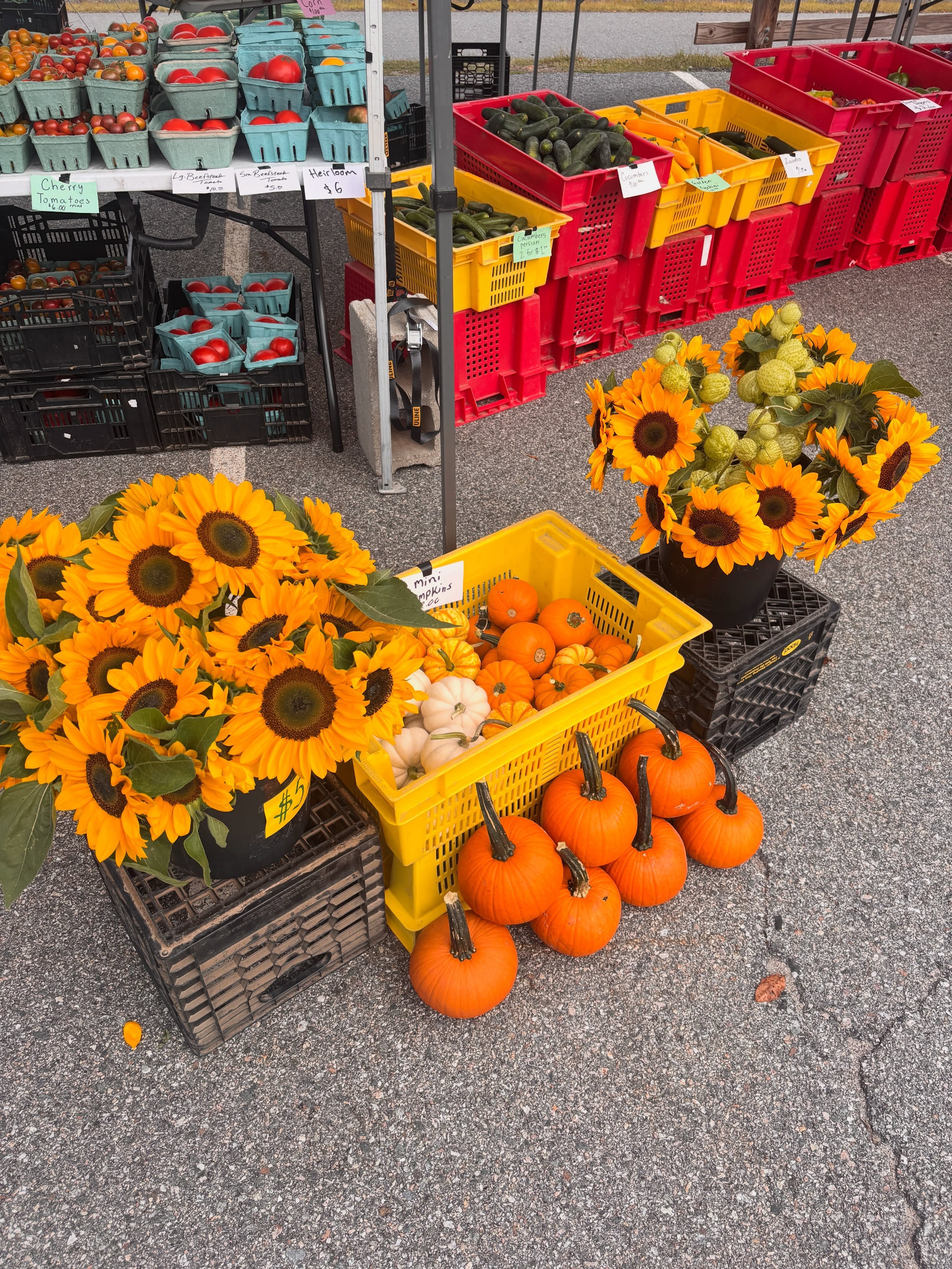 Come visit us today at the @maynardfarmersmarket until 1 pm!