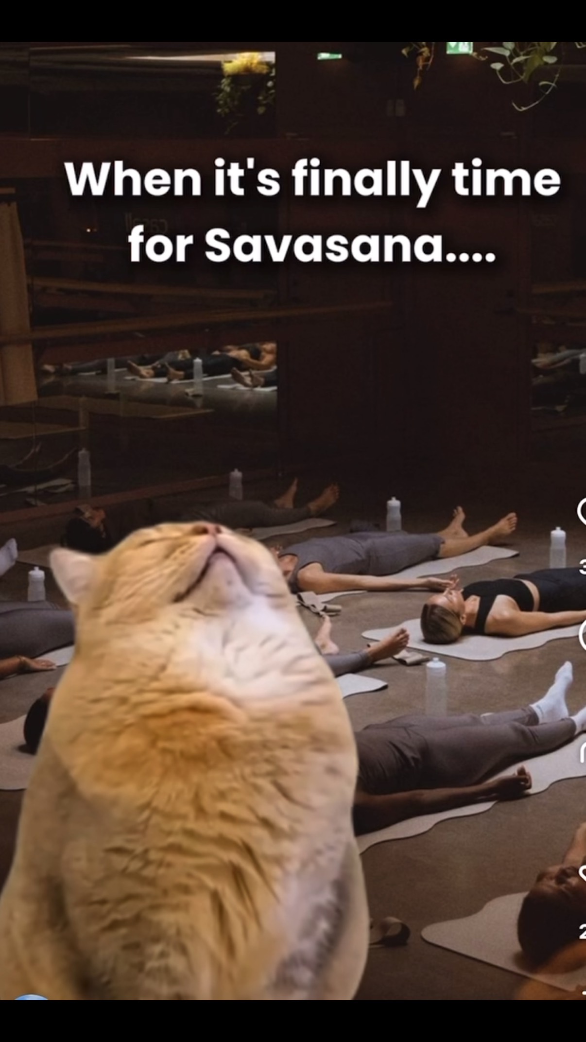 See everyone for Yoga tomorrow morning! #gfitnessyoga #gfitnessgym #gfitnessssavasana