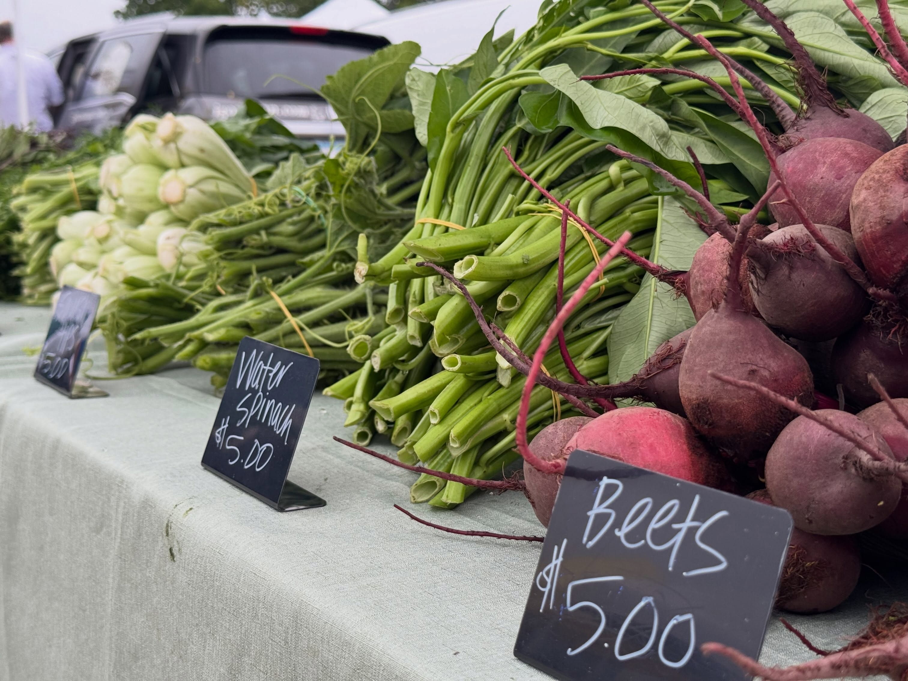 Today’s the day! 👩🏼🌾🍉🥐
Farmers Market 7:30-12pm
Pop Up Makers Market 8-12pm
Stop on by @mygrahampark
See you soon!
#rochfarmmkt #mnlife #farmersmarket #rochmn