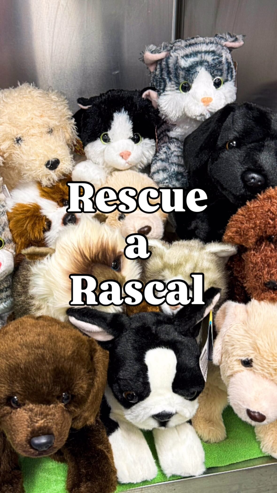 Rescue a Rascal,
and help us keep families together. 🤍
See you THURSDAY for our Raise the Woof gala, 2026.
#KeepingFamiliesTogether #RaiseTheWoof #accessibility