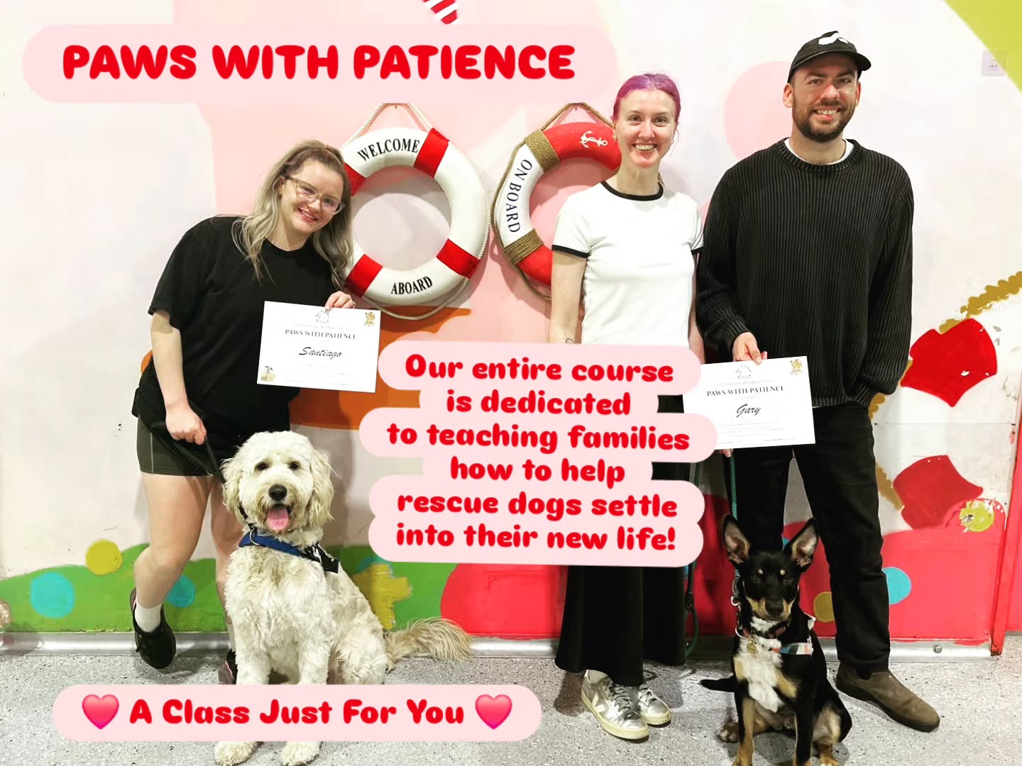 You've got the Paws - And we have the Patience. #pawswithpatience
Our course that is dedicated purely to helping recently adopted dogs get comfortable in their new worlds.
I couldnt pick the beat photos because they were all perfect! 🤍
Thank you Gemma (& Tim) with Santiago #groodle and Jamie & Joel with Gary #kelpiecross . What a team!
This class is run only 4 times a year and helps us help them. 💚💜💚