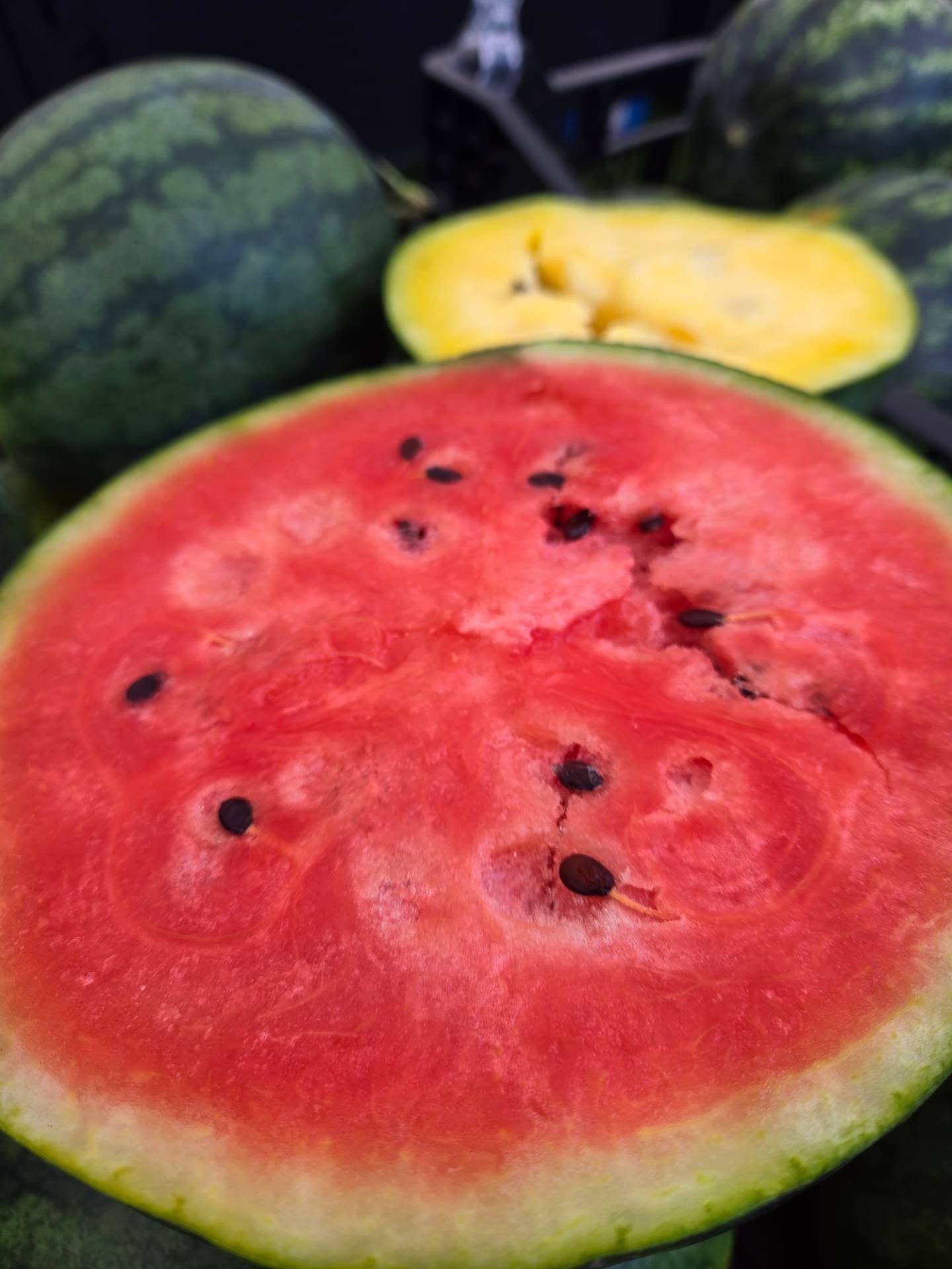 We may be getting chilly mornings but it's still summer! 🍉☀️ Watermelons are making a September appearance at the @nelson.farmers.market . Swipe to see what else we've got! We are down at Cottonwood from 9am-2pm today. See ya soon for some juicy goodness 🤤 🫶
#watermelon #nelsonfarmersmarket #kootenaycornergardens #itsstillsummer