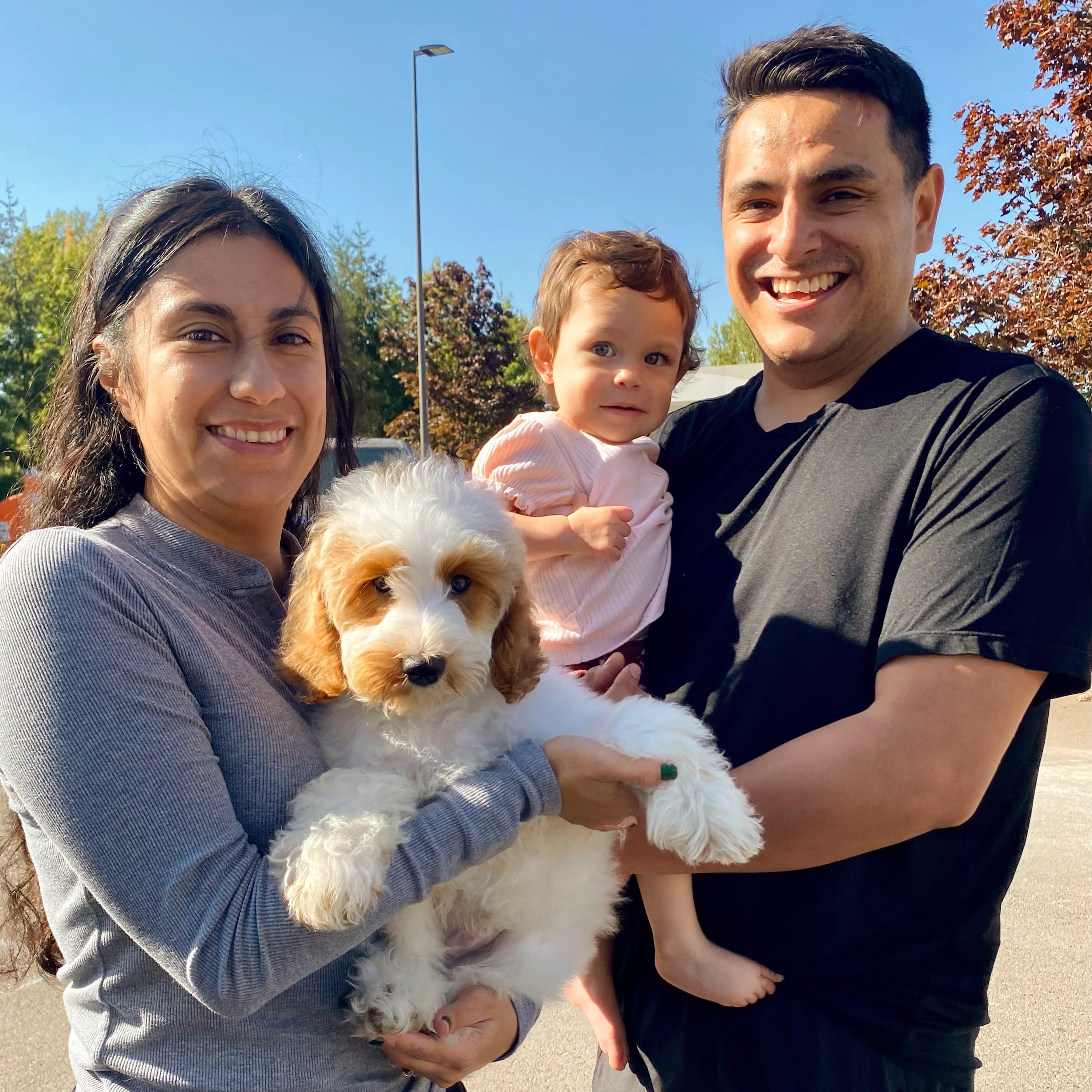 Congratulations to our newest LK Family #LKBernedoodles