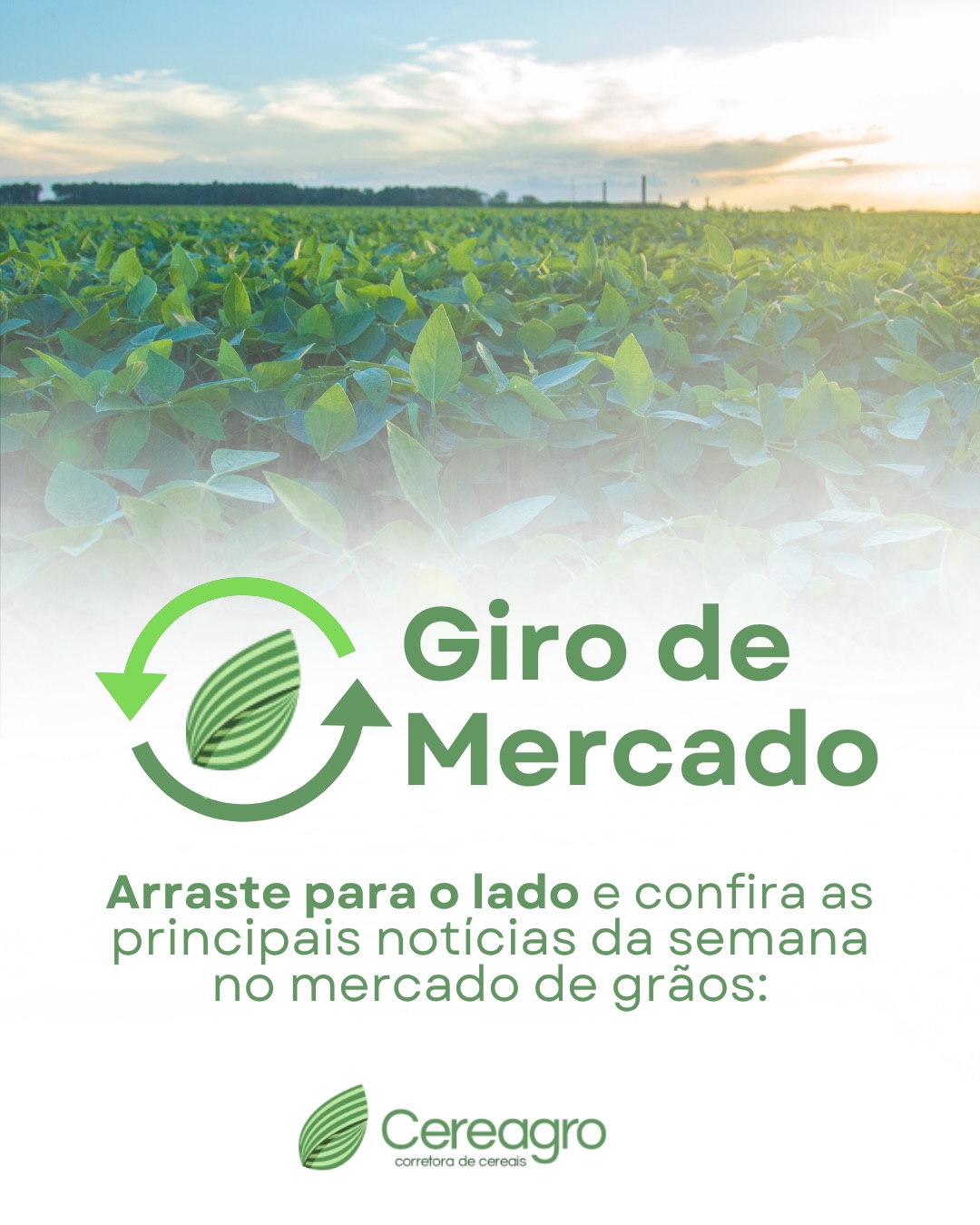 Informação, contexto e estratégia seguem lado a lado no agro.