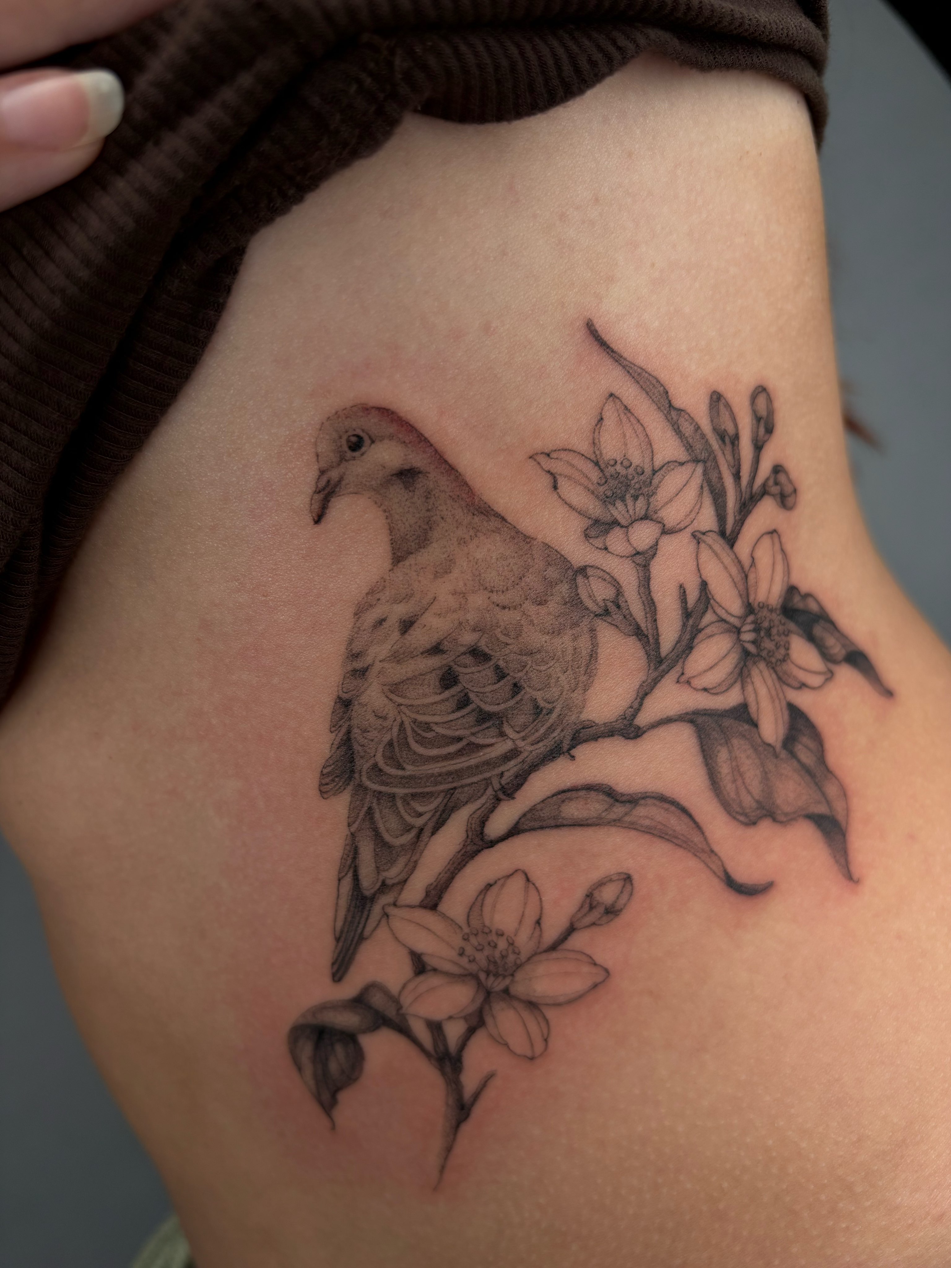 Beautiful dove by artist Aimee (@aiminky.tt ) ๐๏ธ Book and appointment with Aimee through the link in our bio! ๐ฆ๐
.
.
.
#tattoo #blackandgrey #realism #bird #dove