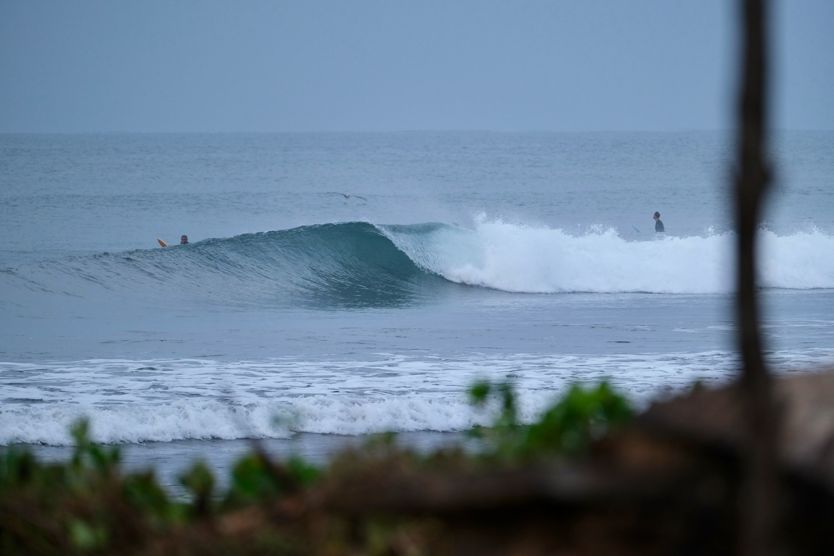 Book December-February small wave season!
.
.
.
๐ธ @saulphotos99
.
.
.
#nicaragua #travel #vacation #familytime #funwaves
Bring the kids!
Waves for everyone
โ๏ธโ๏ธโ๏ธ