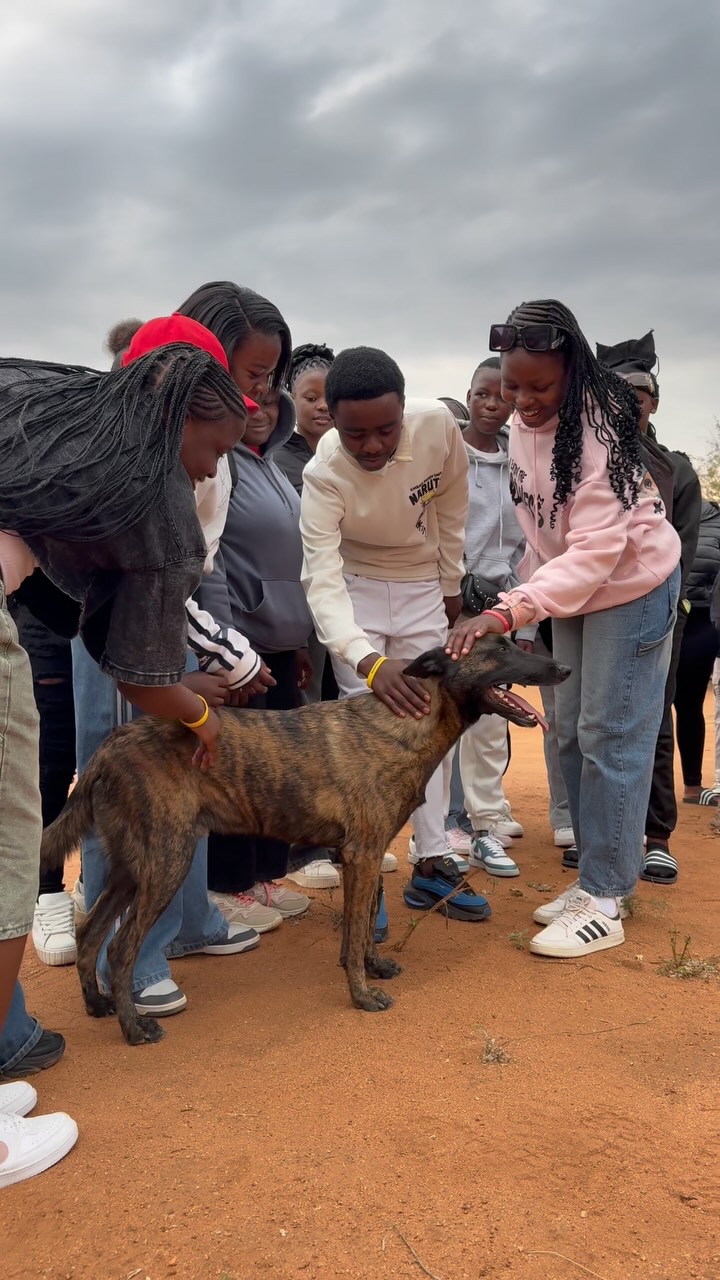 CONSERVATION EDUCATION @capevulturenaturereserve
Today we got invited by the Cape Vulture Trust to show a group of local kids what we actually do, and honestly this is one of my favorite parts of the job that nobody really sees.
We focused on the dogs because that’s something everyone can relate to, but what most people don’t get, even a lot of you watching, is how much actually goes into working with these animals. We grew up around dogs our whole lives so we forget not everyone knows how smart and capable they really are, or how to even read them.
Some of these kids started off scared out of their minds. By the end they were taking pictures and videos with the dogs like they’d known them forever.
That’s the whole point. Once kids get how amazing dogs are, it changes how they think about every animal. And maybe for one or two of them, this turns into something bigger down the road.
Days like this matter more than people think.
.
.
.
#wildlifeconservation #communityconservation #caninesforwidlife