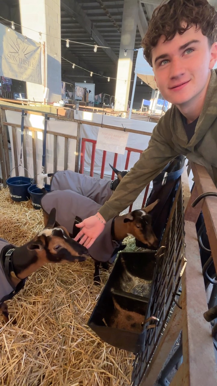 Tell me your boyfriend has a favorite animal of yours without telling me 😅
#goats #funny #babygoats
