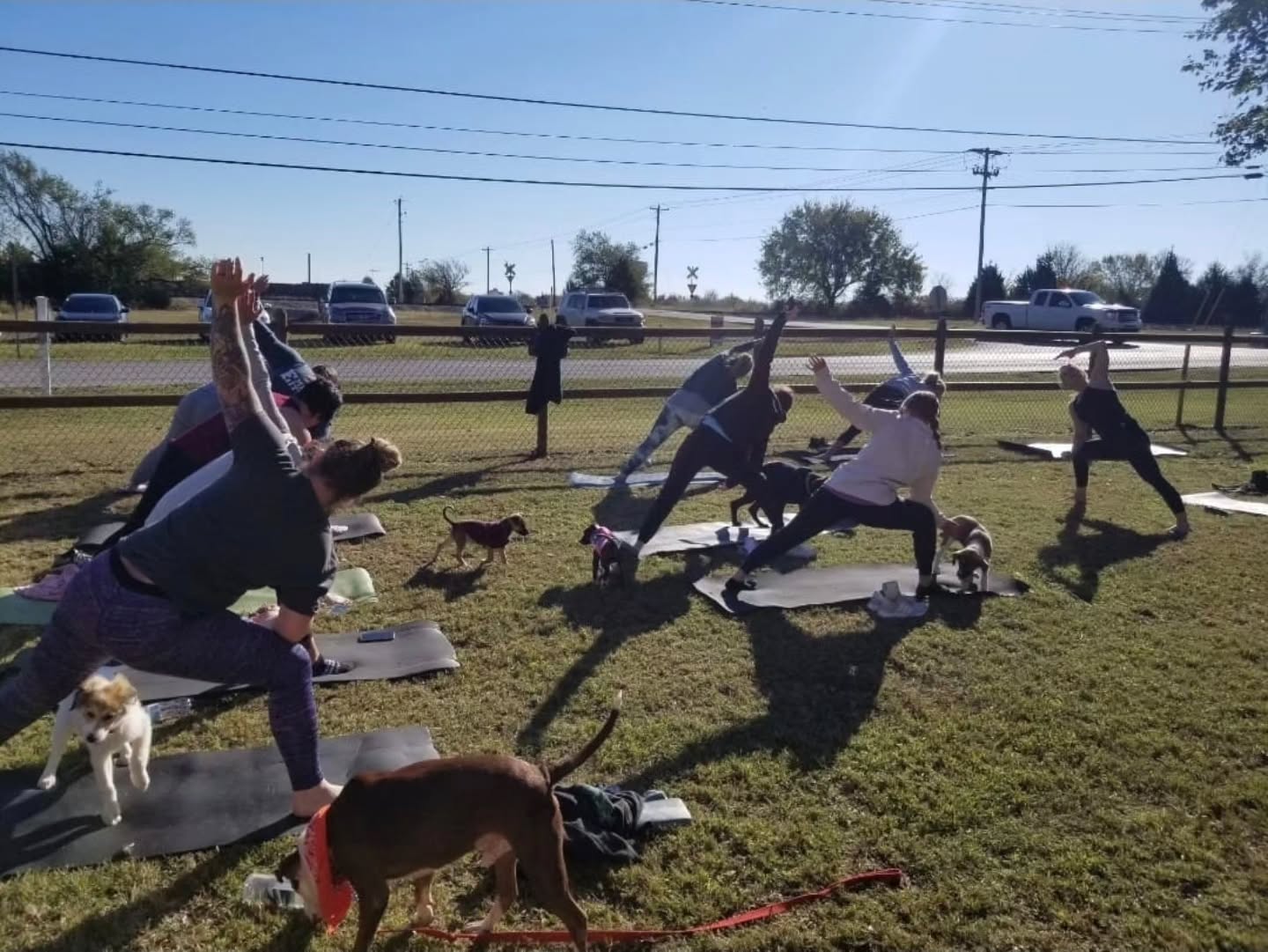 Raise your hand if you're ready for PUPPY YOGA @ GRC with @spacarok @hausofflowtulsa & @thetwistedlemonok 🐕
✨️ WE ARE 1 WEEK AWAY! ✨️
To RSVP comment, DM, or follow our Facebook event.
🌱