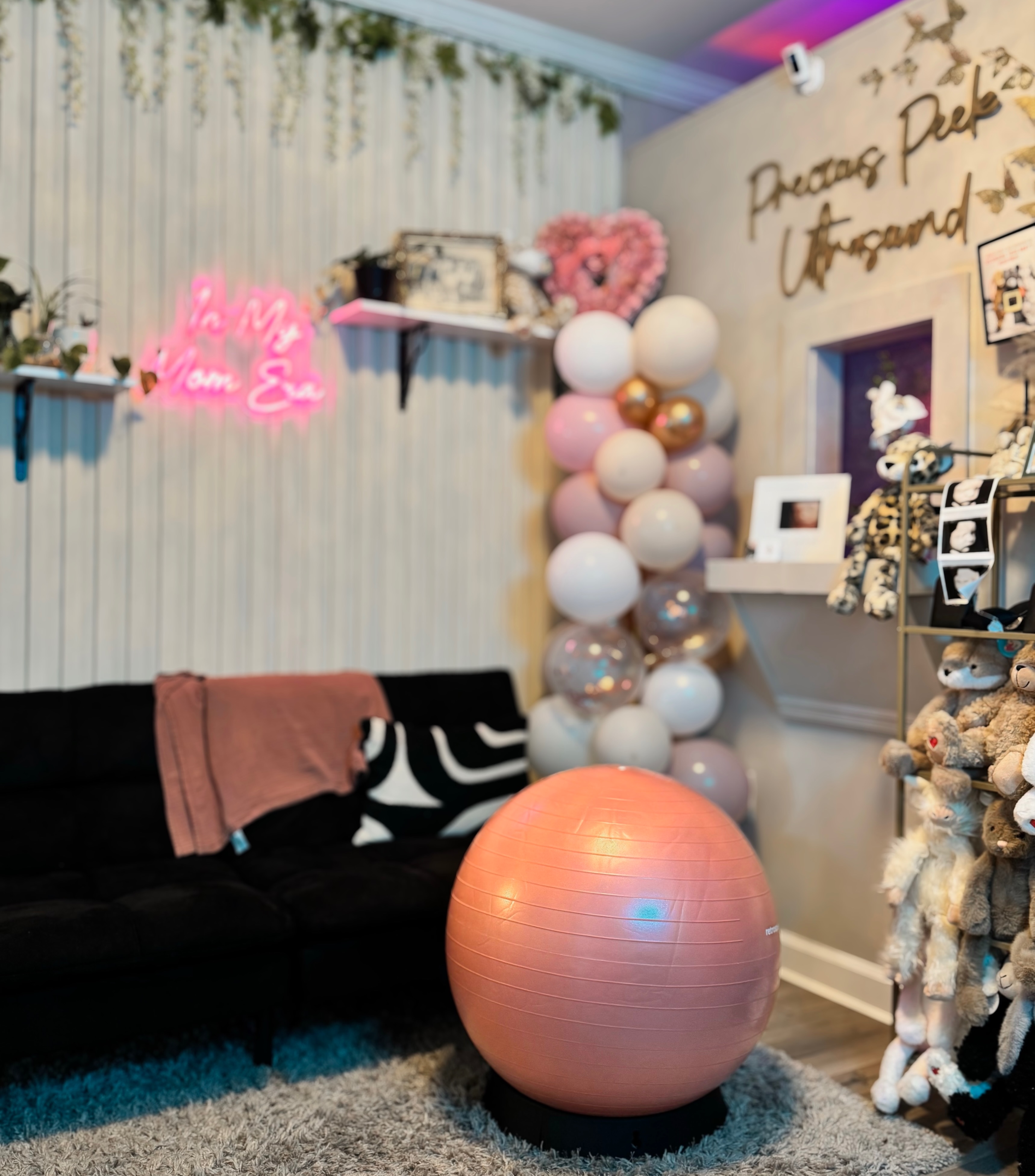 new yoga ball for the shy babies! Sometimes we need to whip out the big 🔫’s lol
& she fits in perfectly 🩷🥰✨