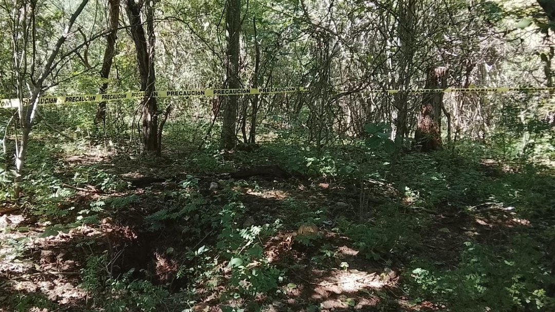 Hallan restos humanos en un campo de East St. Louis; la Policía Estatal de Illinois investiga. Reporte recibido poco después de las 7:00 a.m. — aún no hay identidad ni causa de muerte confirmada. Lee más en el enlace en nuestra bio. Link in Bio
#EastStLouis #Illinois #NoticiasLocal #Investigación #Seguridad