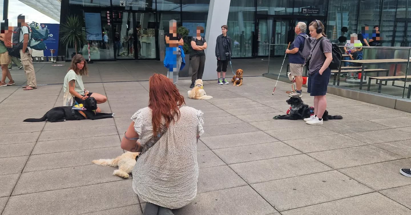 Vereinsausflug mit unseren Assistenzhunden! 🐾
Gestern ging es für unsere Teams an den Flughafen Zürich. ✈️
Gemeinsam besuchten wir die Besucherterrasse und durchliefen die Sicherheitskontrolle. 🐕🦺🔍
Viele neue Eindrücke, Menschen und Geräusche haben unsere Assistenzhundeteams erwartet. Das war für alle herausfordernd, doch alle haben es gemeistert. 😃
Ein toller Tag mit unserem Verein! Danke dass ihr da wart, wir sind sehr stolz auf euch. 🐾
#assistenzhund #gemeinnützig #pawsandyou #hundetraining #assistenzhundeteam