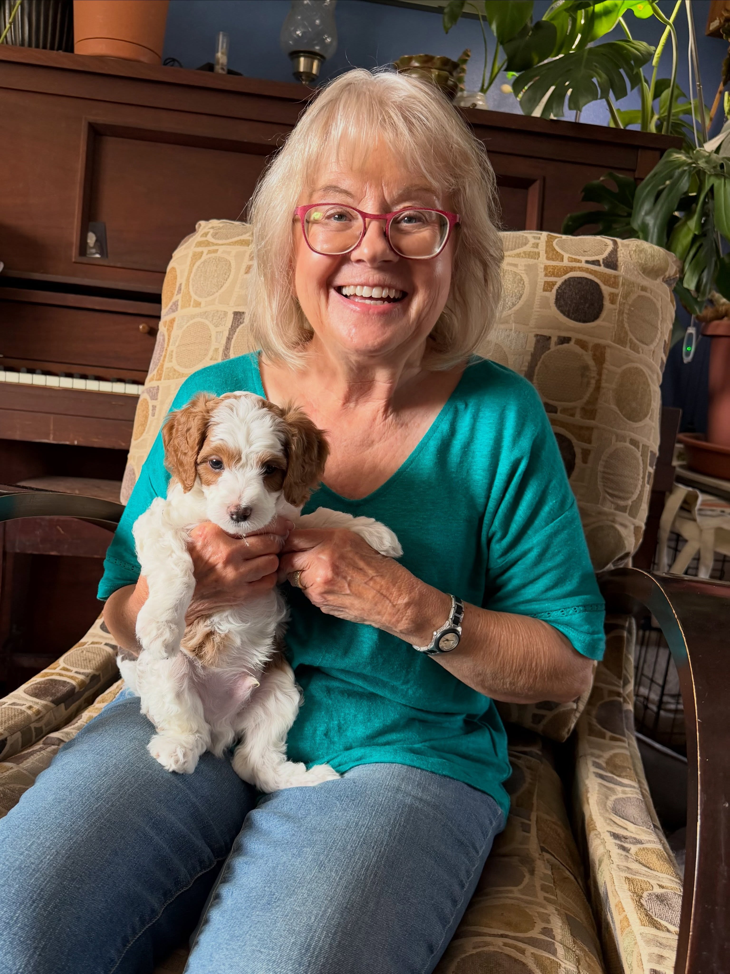 Puppy selection! Killer found his forever family! #cavapoo