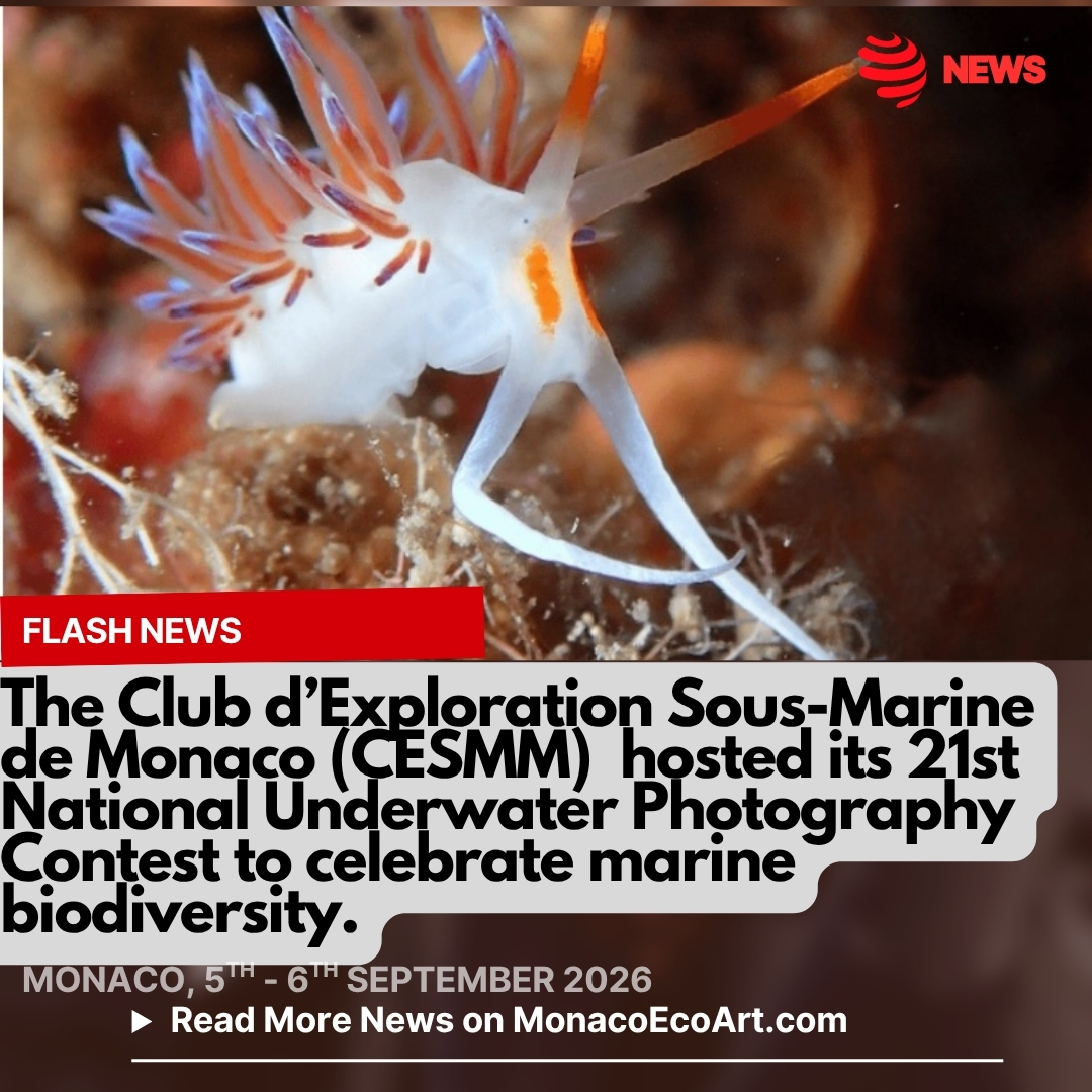 @mo.eco_art MonacoEcoArt.com #flash #news #photography #ocean #awareness 🇲🇨🌊🐬 On September the 5th 2026 the Club d’Exploration Sous-Marine de Monaco (CESMM) hosted its 21st National Underwater Photography Contest to celebrate #marine #biodiversity 🤿📸 Divers and photographers gathered in the #waters of the Principality to capture the hidden #beauty of the Mediterranean seabed. The competition featured four main creative categories: Macro photography; Fish portraits; Wide-angle shots, and a mandatory #special #theme: Crustaceans and shellfish 👱♂️👱♀️Running alongside the national #adult contest was the 13th edition of the junior photography #competition, Regards sous la mer to engage next generation to connect with #ocean #conservation through new perspectives: operating under the guiding motto "To know in order to protect better," the CESMM event highlights how underwater imagery serves as a #powerful tool for marine #preservation and environmental #awareness in Monaco🐠🐳 Founded in 1951, the Club d’Exploration Sous-Marine de Monaco (CESMM) is one of the Principality’s most historic institutions under the high patronage of H.S.H. Prince Albert II of Monaco, being based in the Port of Fontvieille: itt has been serving as a bridge between #sports, artistic #expression, and #environmental preservation of the Mediterranean ecosystem 🛥️⚓ The CESMM unveiled an era when underwater exploration was capturing the global #imagination, at the dawn of modern #diving, made #famous by the legendary Captain Jacques-Yves Cousteau a deep history with Monaco, a figure deeply linked to the Principality of Monaco through his research on board the #iconic vessel Calypso there, while serving as the director of the Oceanographic Museum of Monaco from 1957 to 1988 📸 © @cesmm_officiel @cesmm_monaco @ampn_mc @yachtclubmonaco @gvt_monaco - Layout and Contents by: © MonacoEcoArt.com
