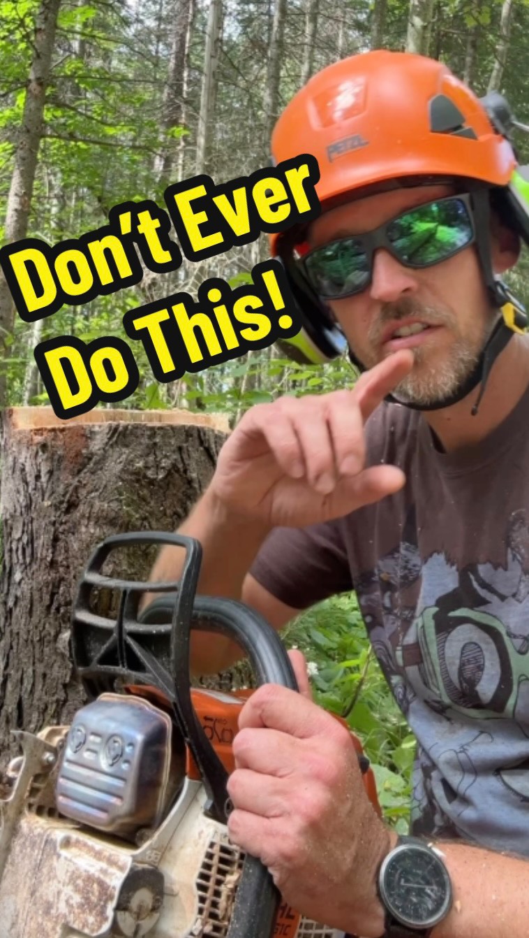 Lessons were learned.....
#chainsaw #whoops #bucking #thetoolpulse #felling
