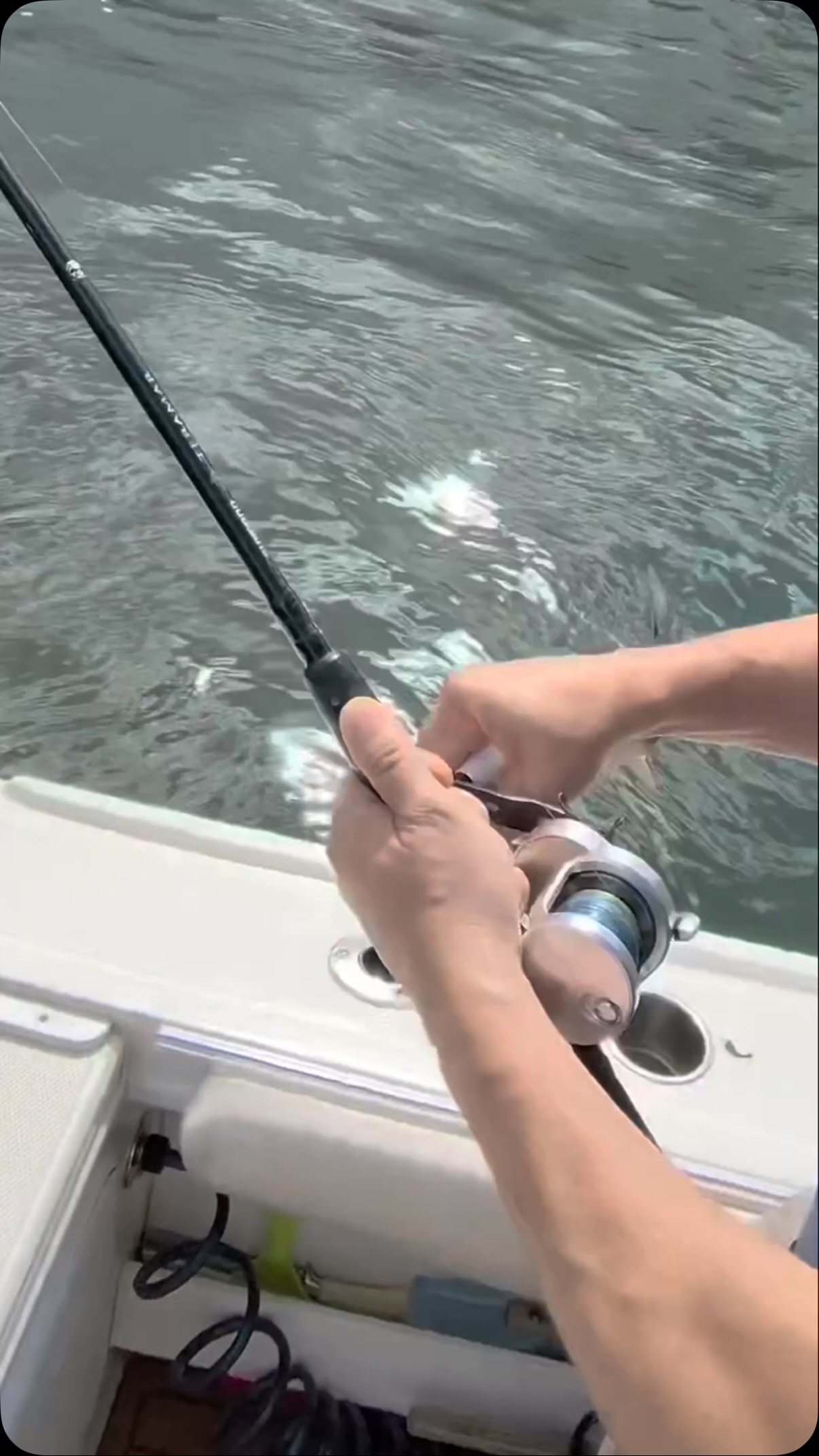 You know fall is right around the corner when these fish start getting more active and crushing jigs! 🎣🔥
The bite is starting to heat up, and the Impostor Jig from @anglercofishing was getting it DONE today! 💥 Fish were aggressive and ready to eat a great sign of what’s coming.
The fall run is getting closer… and we’re ready for it! 🍂🐟 #bluefinsoundcharters #newrochelleny #litetackle #bass #fishing