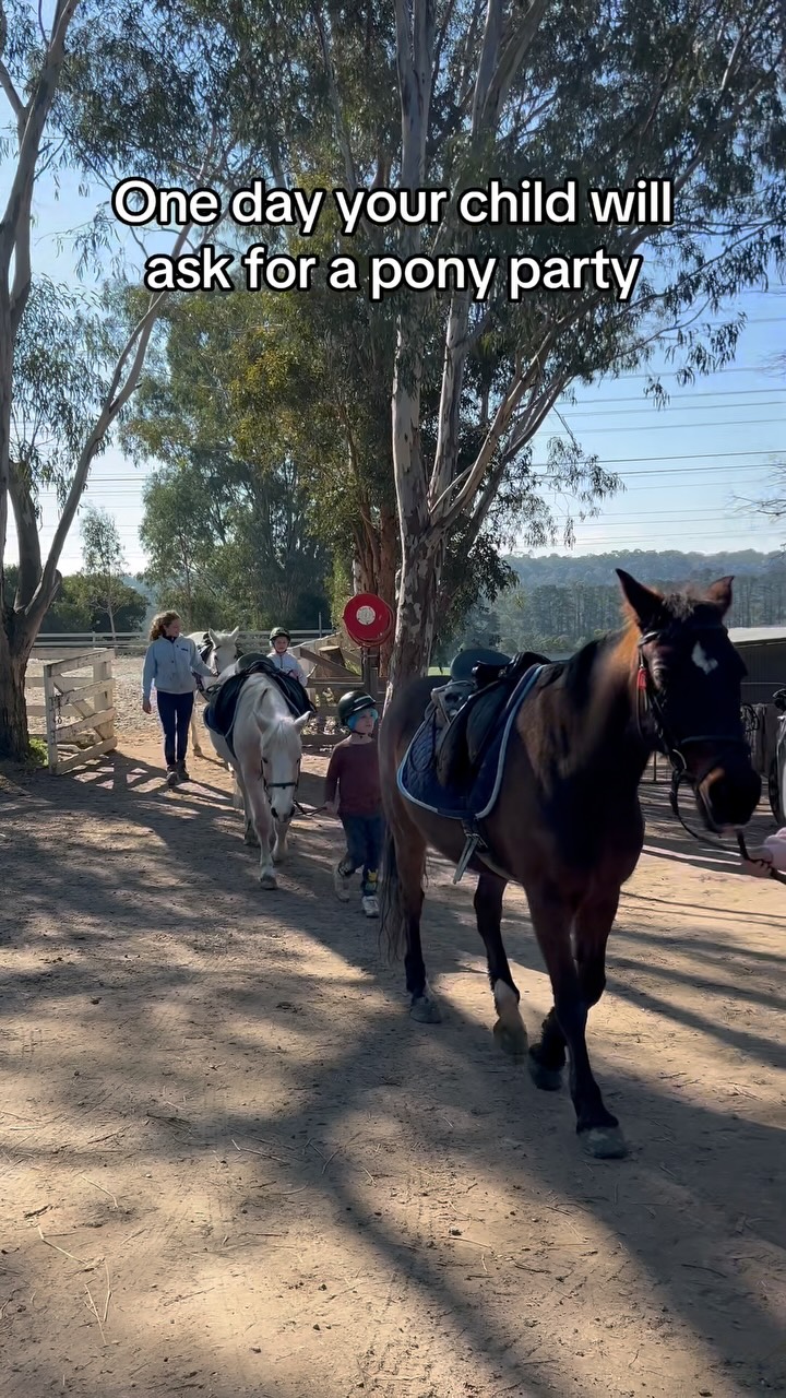 Did you know our pony party package is $500 for 6 children, and just $66 per additional rider? 🎁
Our pony parties give every child their own pony for a full hour of riding in a private group session — designed for ages 6–9 and tailored to their confidence and experience.
Plus you get private use of our BBQ and pergola area, giving you the perfect space to create your ideal party setup 🌭
The day they ask for a pony party will come — and we’ve got the perfect one waiting 🥳
#ponyparty #kidspartyideas #melbournekidsparties #childrensriding