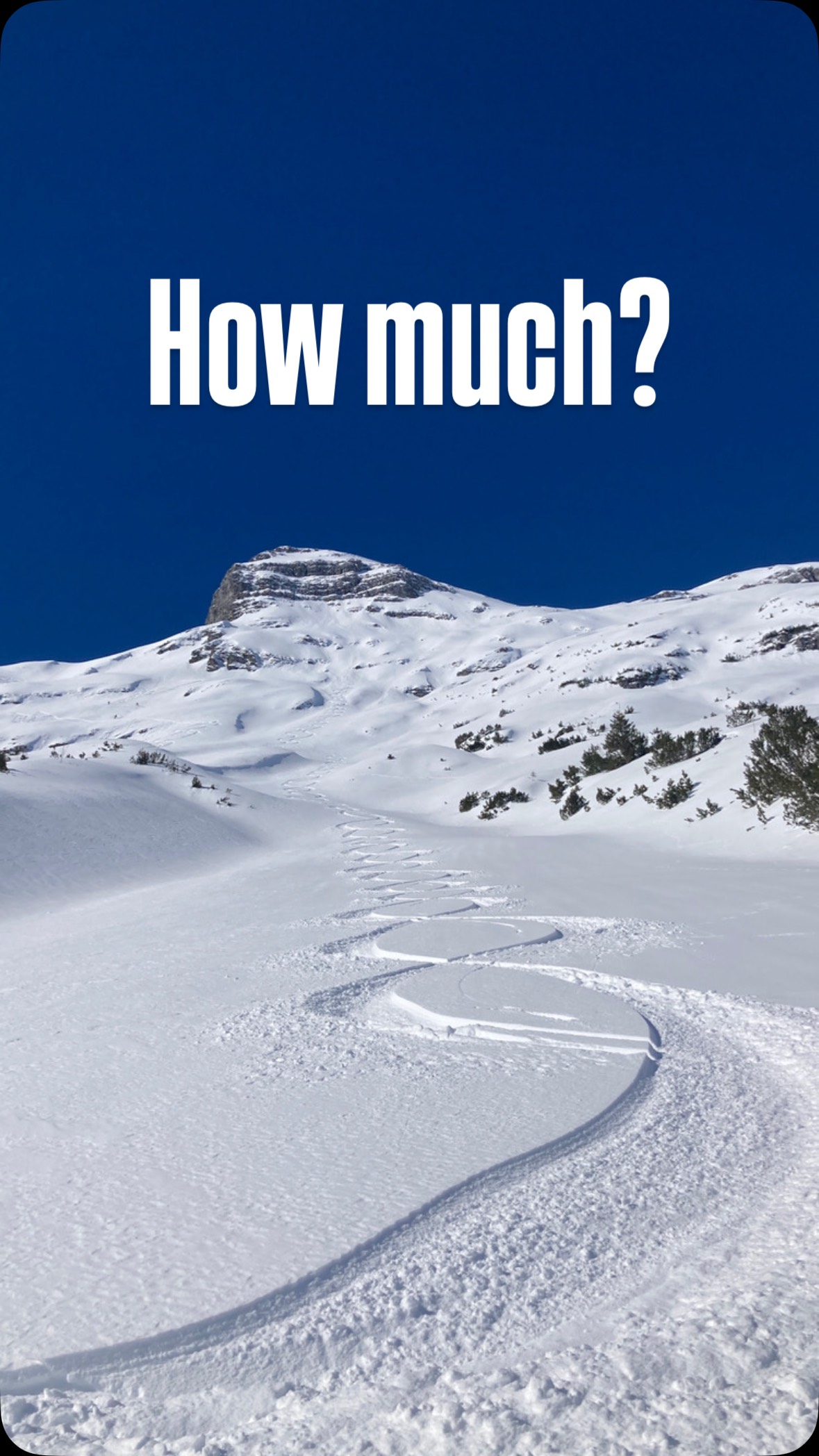 Who of your friends spends the most?
#skiing #powder #austria #fun #skischulezuers