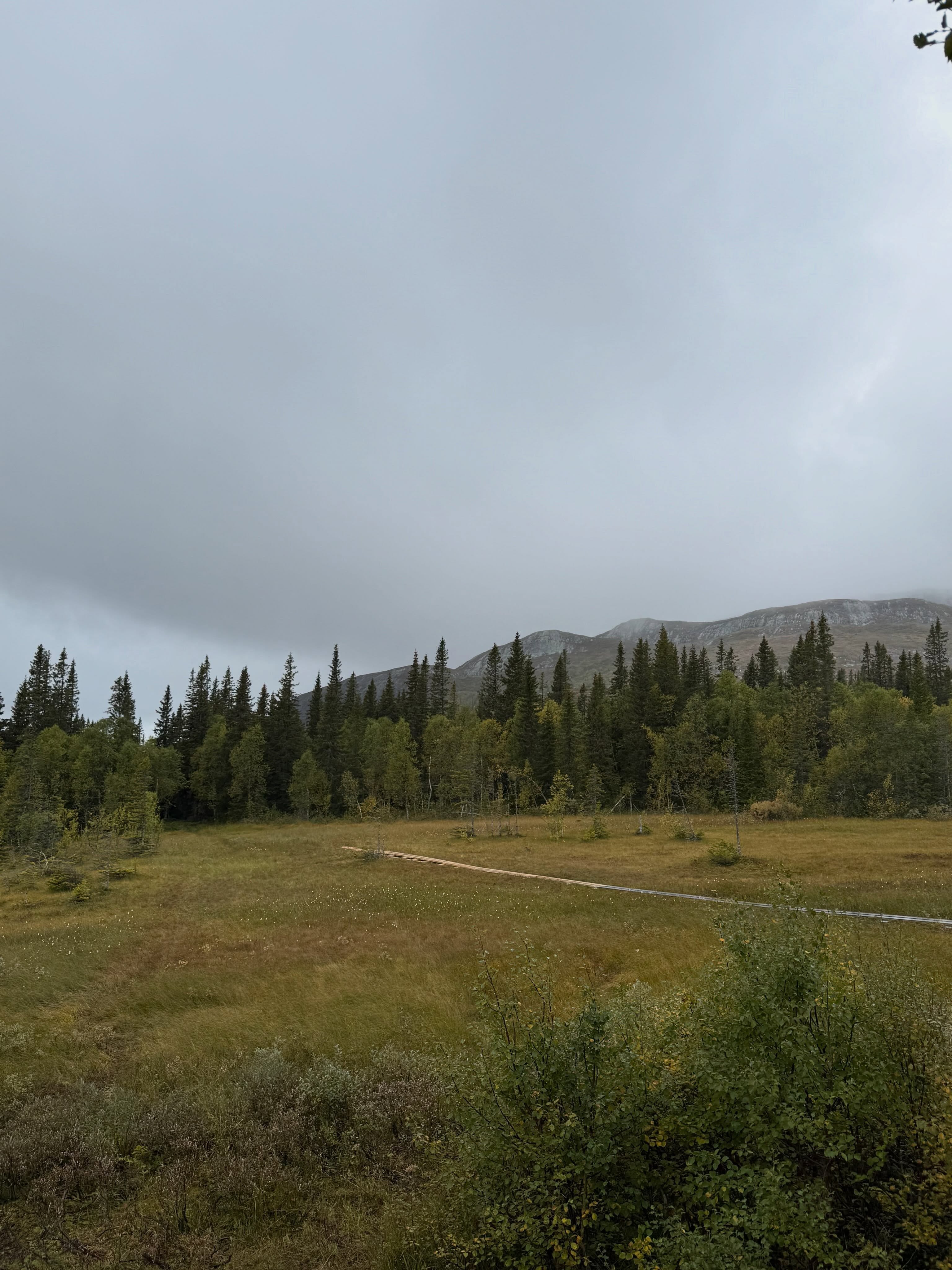 Återigen tack Åre Destination för fantastiskt arbete med att tillsammans med markägare, Åre kommun och entreprenörer få till alla fantastiska leder & dess vilobänkar i Ullådalen. Nu har även arbetet med de efterlängtade spängerna till Tegelfjäll påbörjats 🌟⛰️💙🙏
Varmt välkommen till oss under fjällturen, tors-sön kl. 11.00 - 15.00 ☕️🧇😊