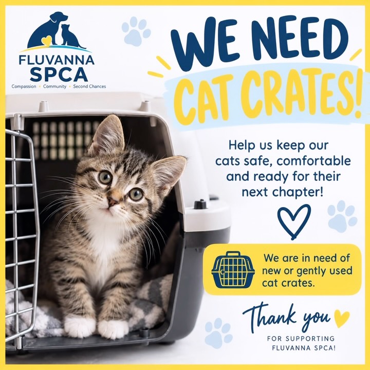 🚨we need cat crates!! 🚨
Tomorrow’s spay and neuter clinic is super important for cat safety as well as helping with the population!
If you have an extra crate we can borrow, doesn’t even have to be donated. We would appreciate the assistance!
Stop by the Spca tonight or tomorrow before 8:00 to drop off the crate put your name on it and we promise we will return!!
#crates #spayandneuter #cats #catsofinstagram #clinic