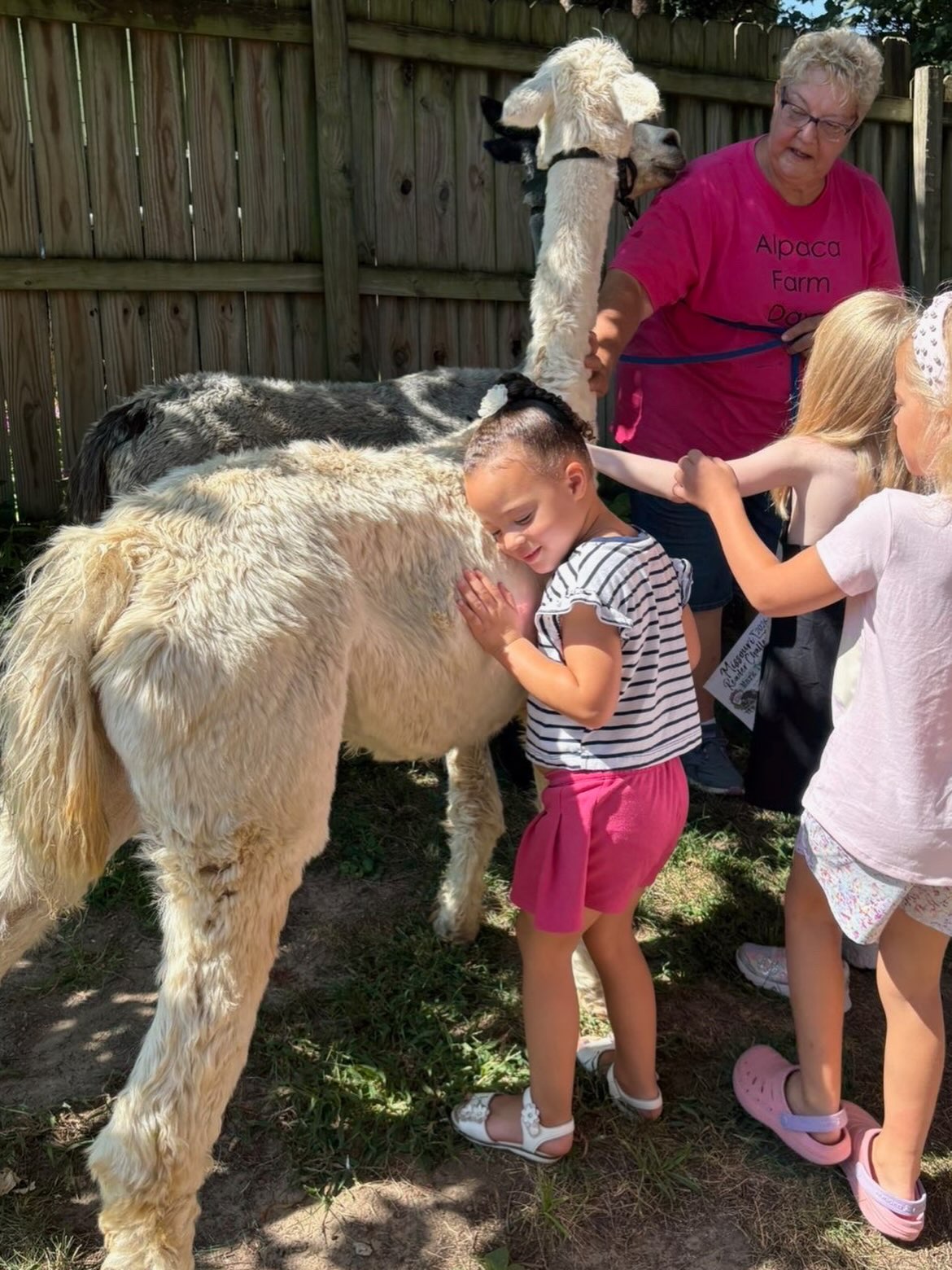 We paca’d a lot of fun into this week’s Saturday Storytime! Thanks to Evelyn and her ladies from Silver Fox Farms Alpacas for visiting Neighborhood Reads! ❤️ Mark your calendars to visit their farm in Labadie Sept. 26 & 27 for National Alpaca Farm Days! Five more Backyard Storytimes at the bookstore — see you next week!
