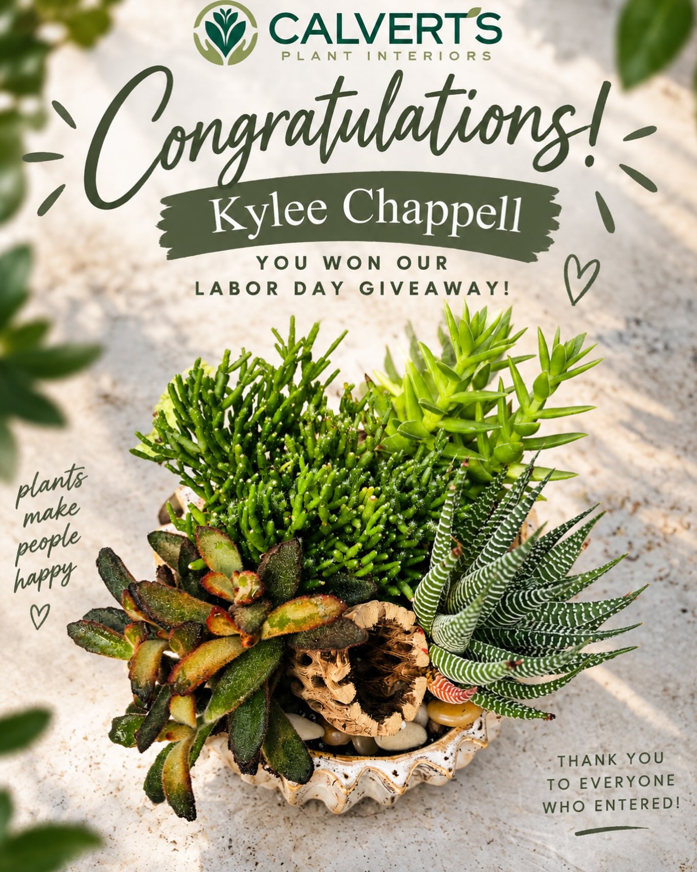 🌿 We have a winner! 🌿
Congratulations to @kylee.chappell — the winner of our Labor Day Giveaway! 🎉🪴 We hope you love your new succulent arrangement as much as we loved putting it together for you! ☺️
You can pop by this week to claim your prize at our greenhouse 🫶
And a HUGE thank you to everyone who liked, shared, tagged and participated. 💚 We’re so grateful for this plant-loving community and everyone who continues to support Calvert’s!
Stay tuned… there’s always more growing around here. 😉🌱
#CalvertsPlantInteriors #GiveawayWinner #OKCPlants #PlantPeople